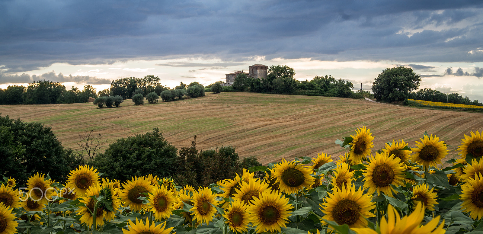 Samsung NX1100 sample photo. Castello di montalbano sunset photography