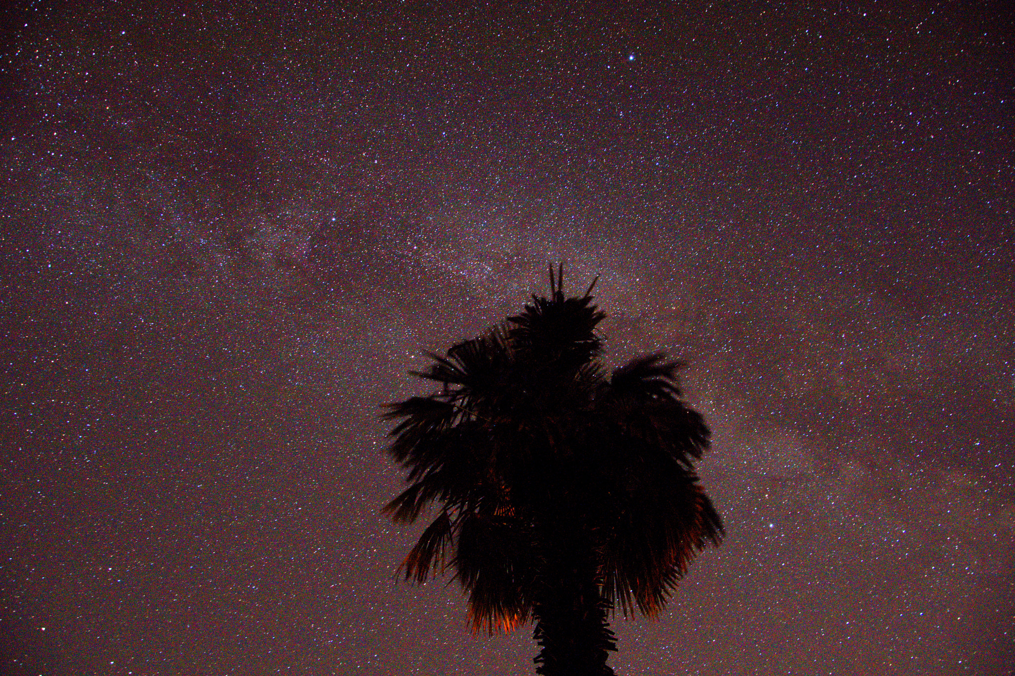18.00 - 105.00 mm f/3.5 - 5.6 sample photo. Palmway photography