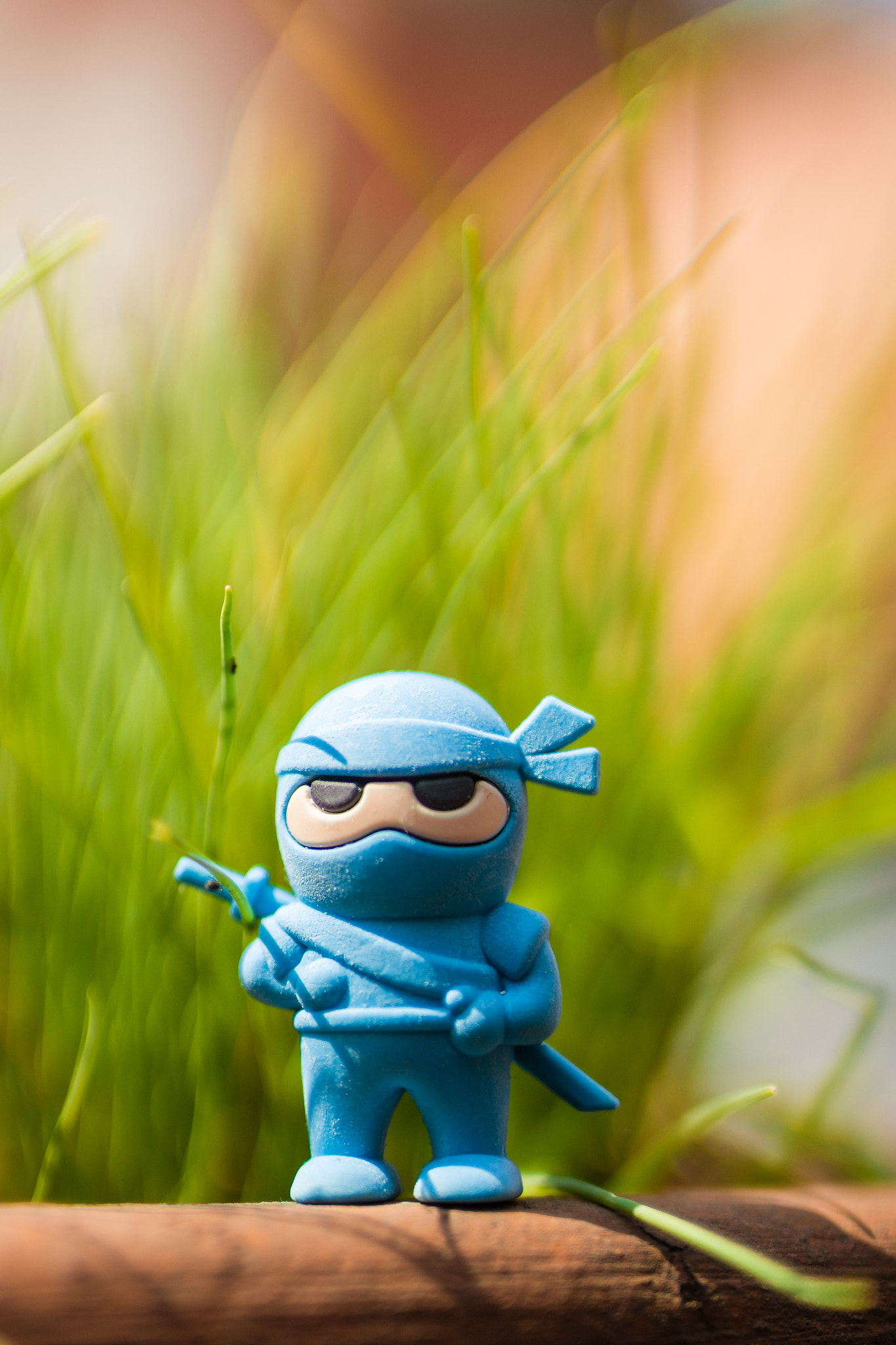 Sigma 50mm F1.4 EX DG HSM sample photo. Ninja! photography