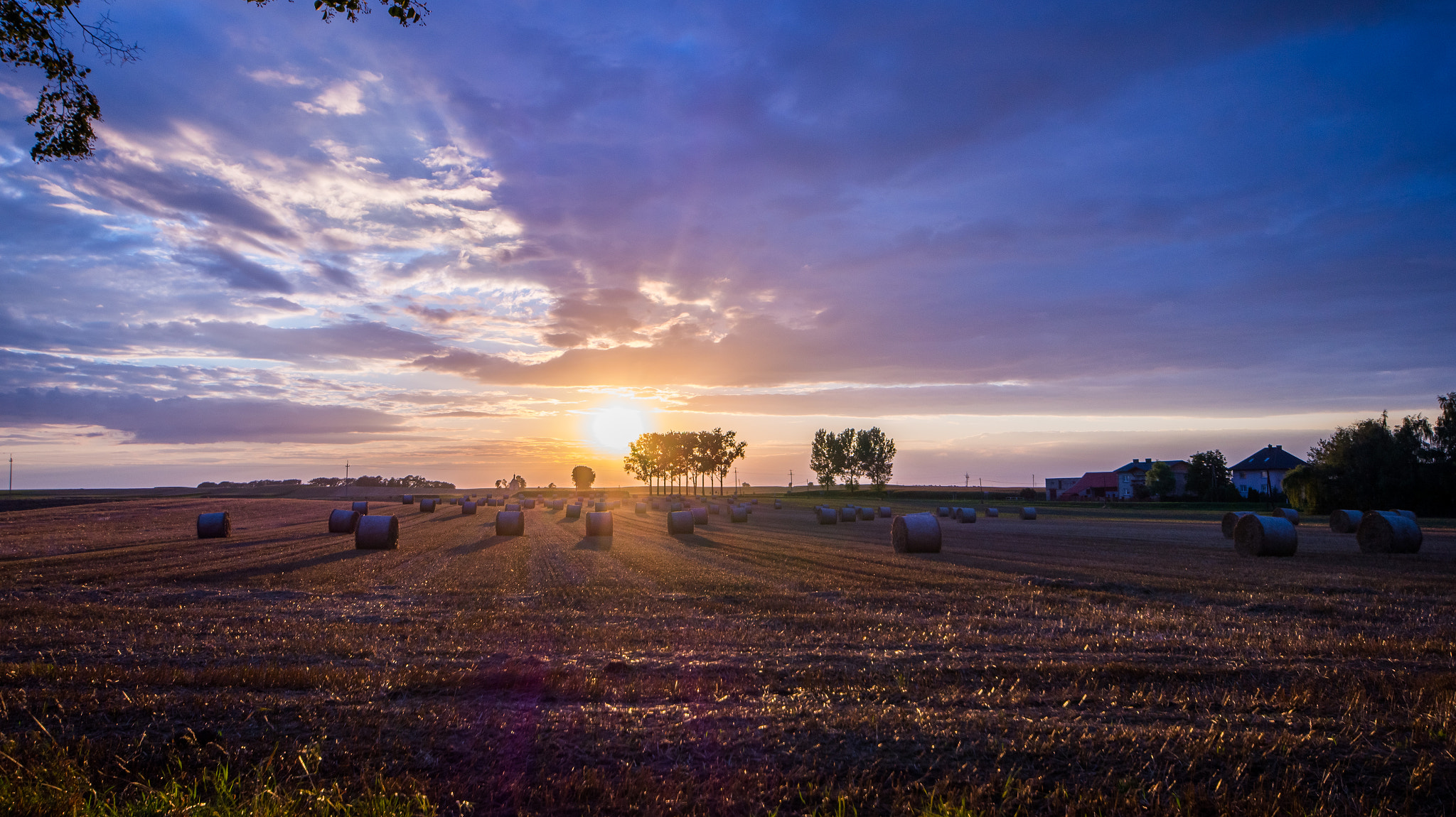 Sigma AF 10-20mm F4-5.6 EX DC sample photo. Home sweet home photography