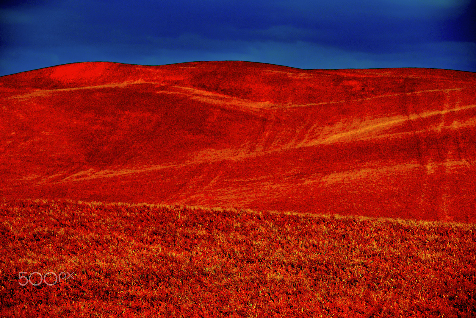 AF Zoom-Nikkor 80-200mm f/2.8 ED sample photo. My red meadow photography
