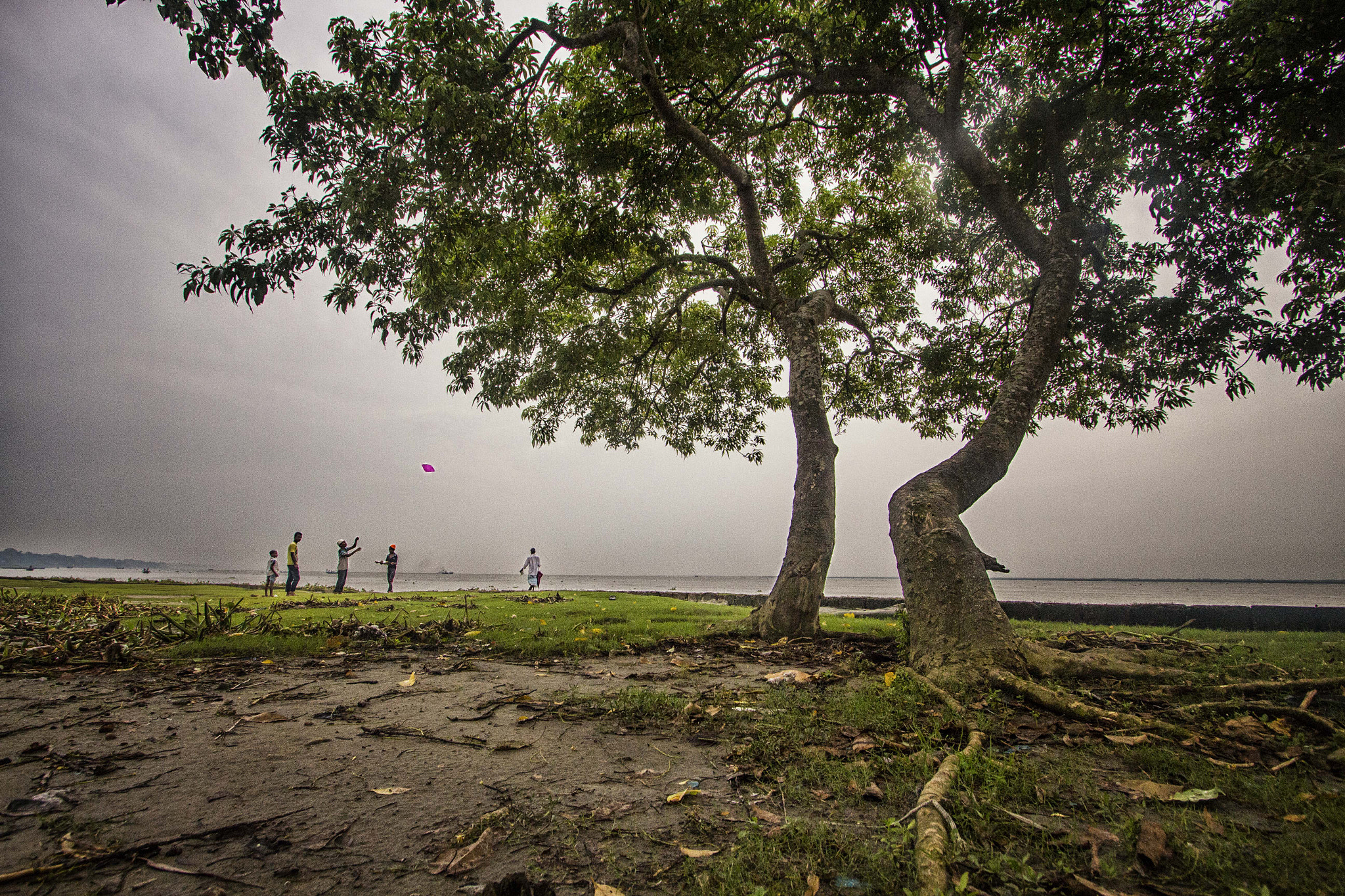 Canon EOS 700D (EOS Rebel T5i / EOS Kiss X7i) sample photo. Chandpur,2016 photography