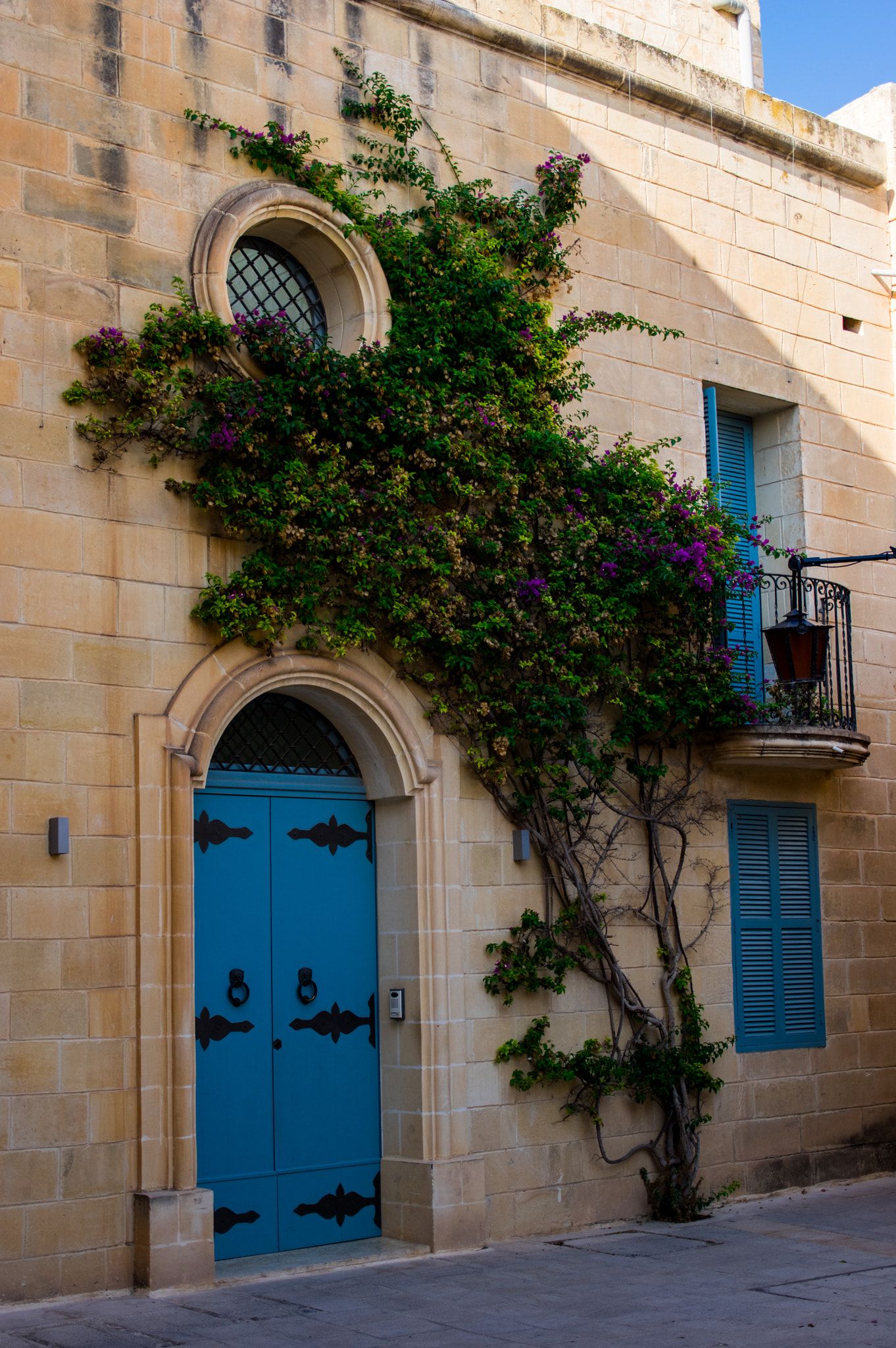 Pentax K-3 II sample photo. Doorway & creeper photography