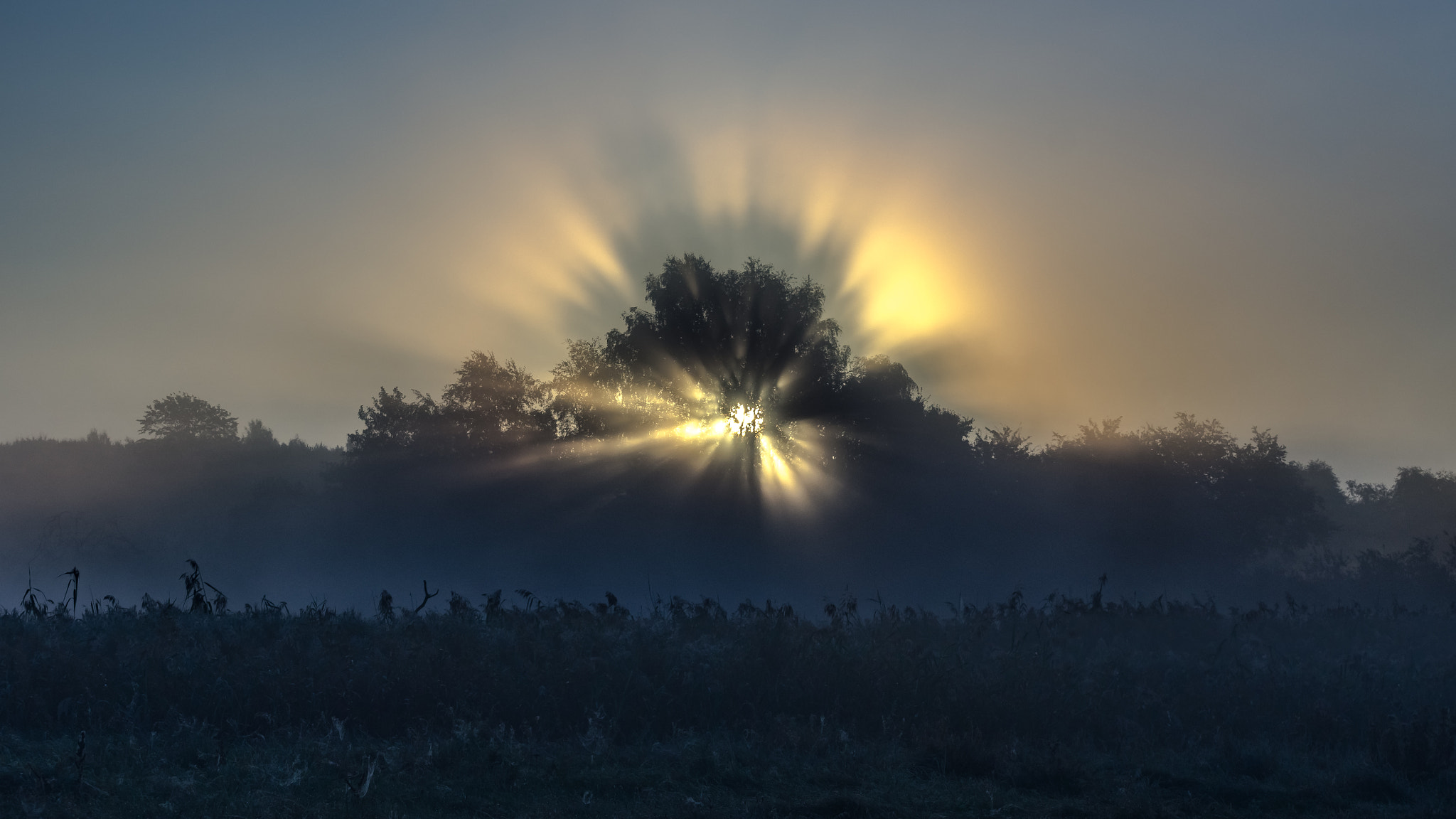 Sony SLT-A55 (SLT-A55V) sample photo. Exploding sun photography