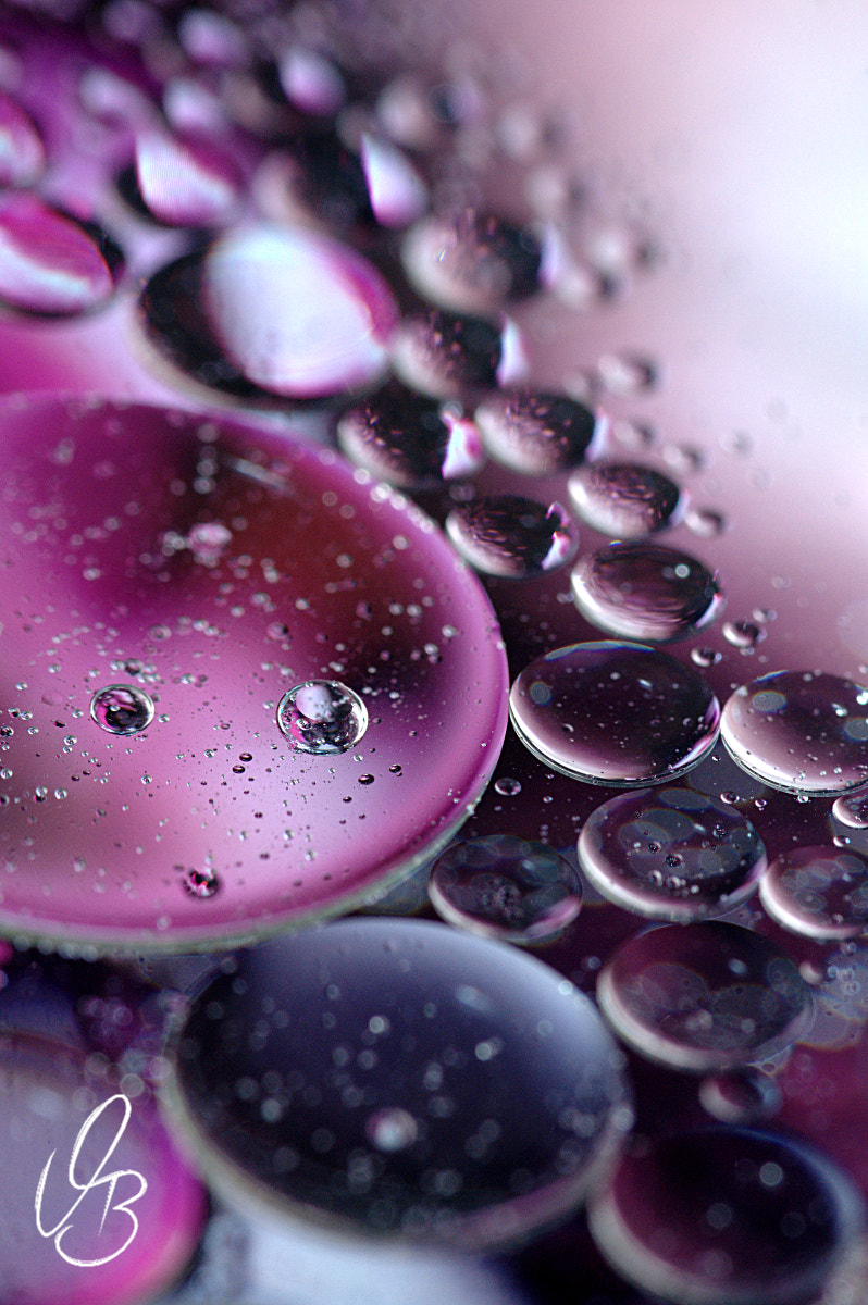 Sigma 105mm F2.8 EX DG OS HSM sample photo. Purple drops #1 photography