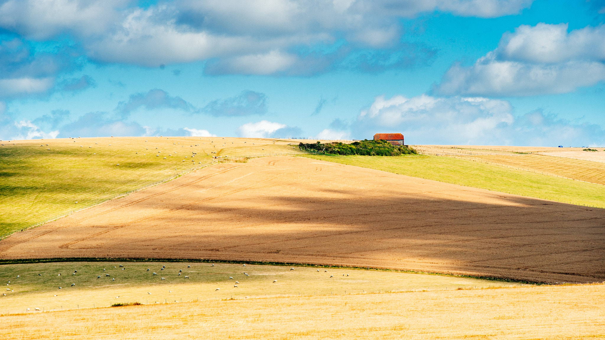 Nikon D600 + Sigma 70-200mm F2.8 EX DG OS HSM sample photo. Colors of the august photography