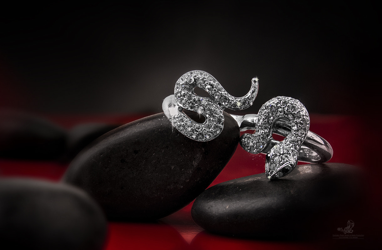 Sigma 24-70mm F2.8 EX DG HSM sample photo. Snake ring photography