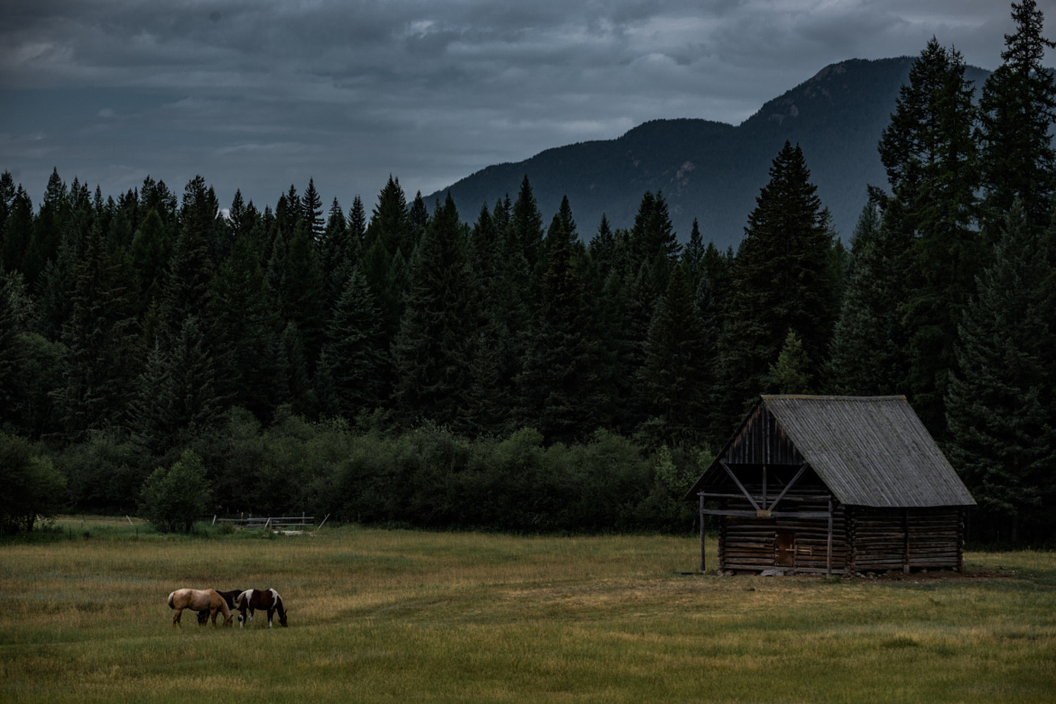 Nikon D600 sample photo. Glacier national park-montana photography