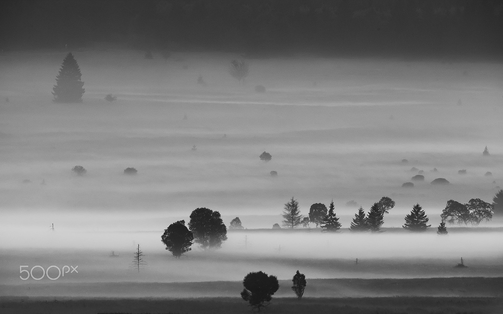 Canon EF 400mm F2.8L IS II USM sample photo. The morning mist photography