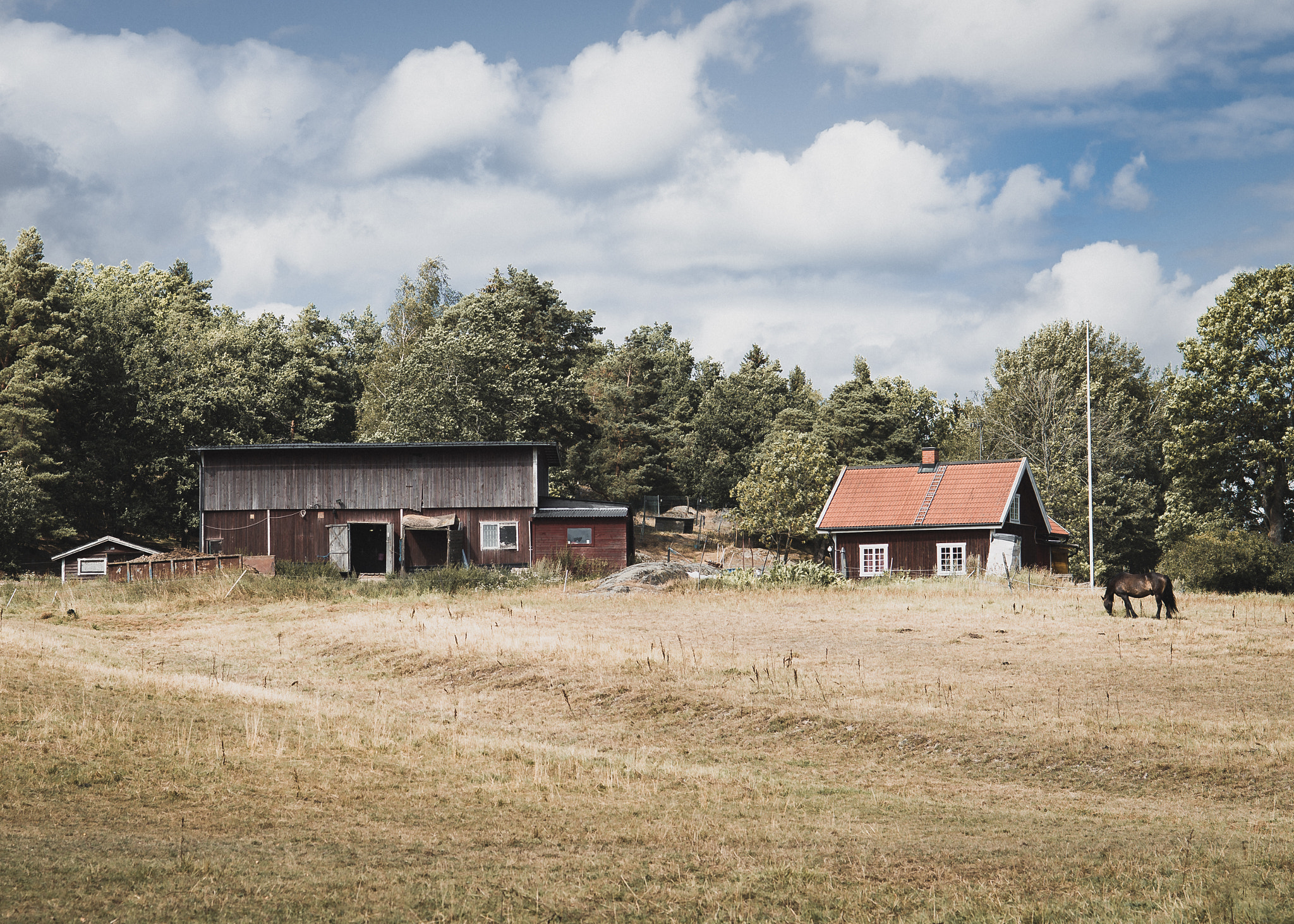 Nikon D610 + AF Nikkor 85mm f/1.8 sample photo. Sweden photography