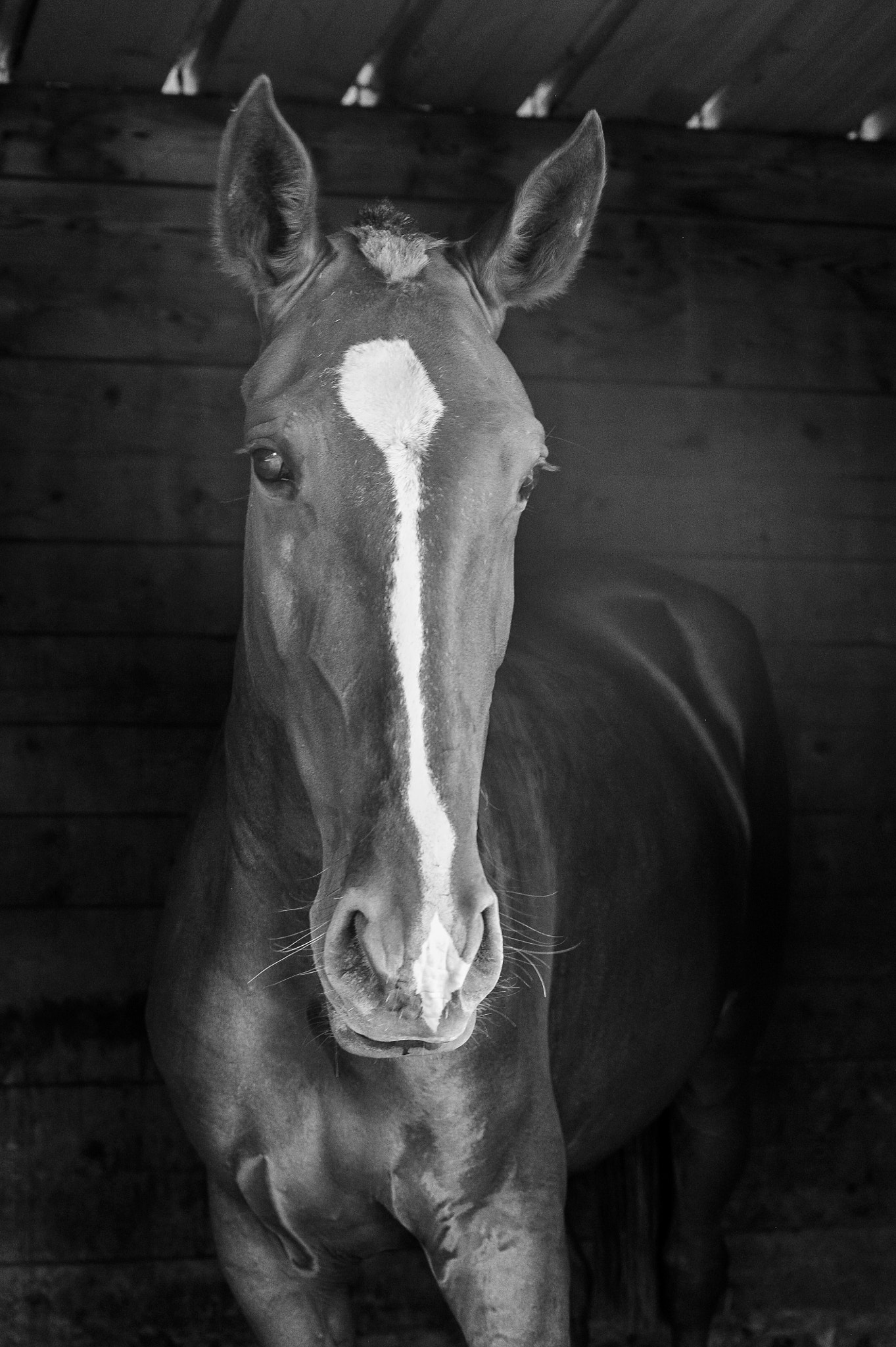 Nikon D3S sample photo. The beautiful photography