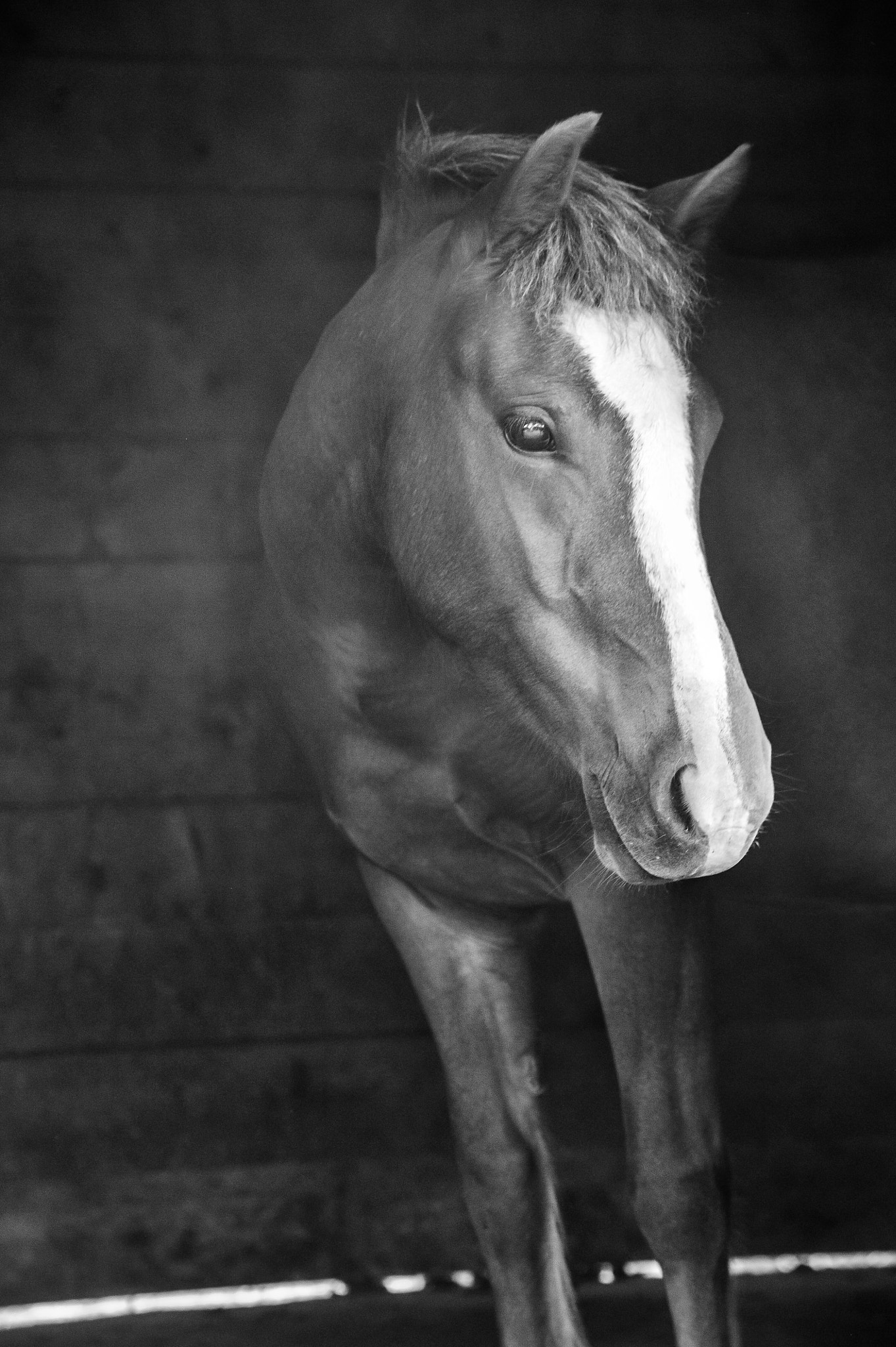 Nikon D3S sample photo. Natural atmosphere photography