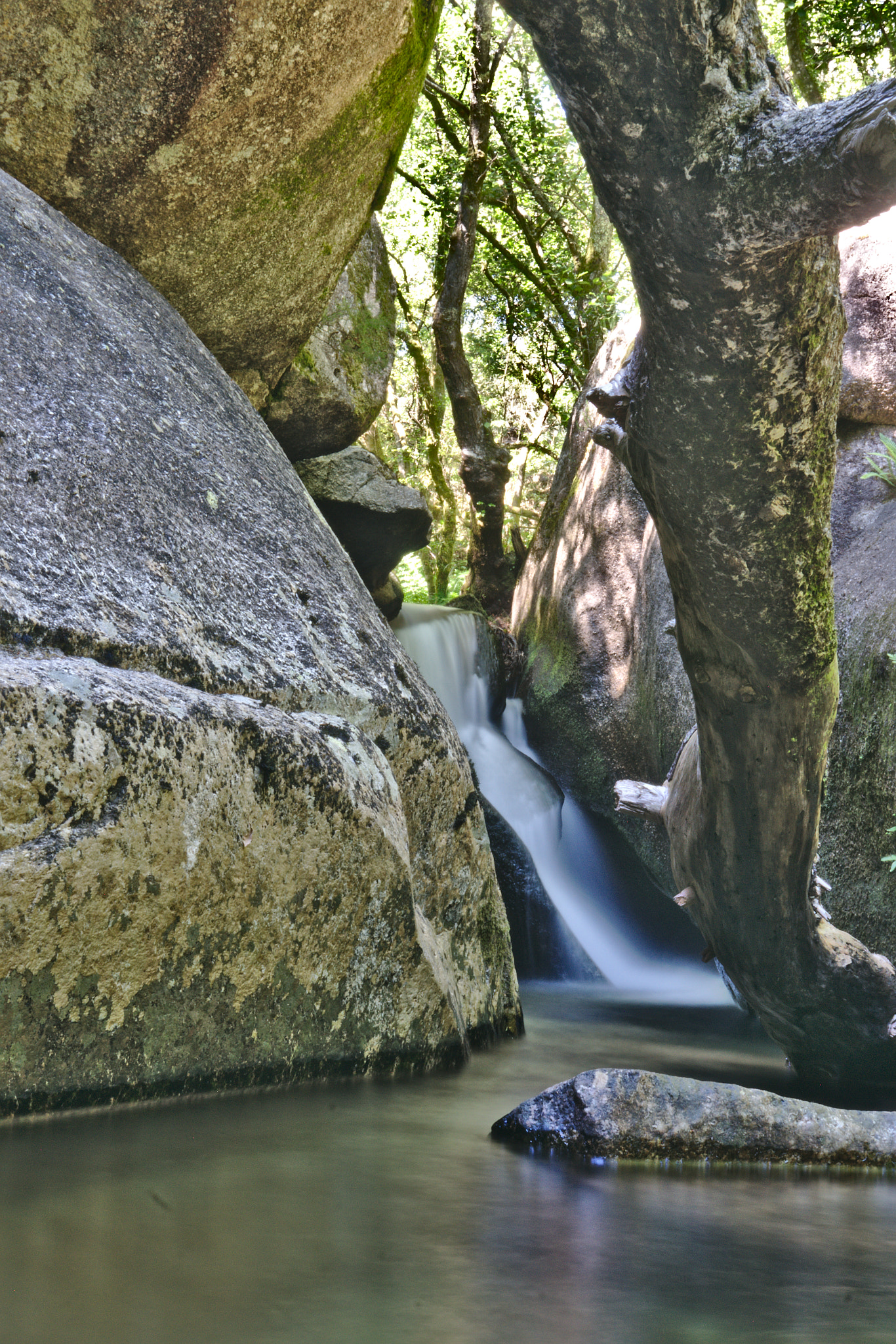 Sony Alpha NEX-6 + Sony E 18-50mm F4-5.6 sample photo. Dsco photography