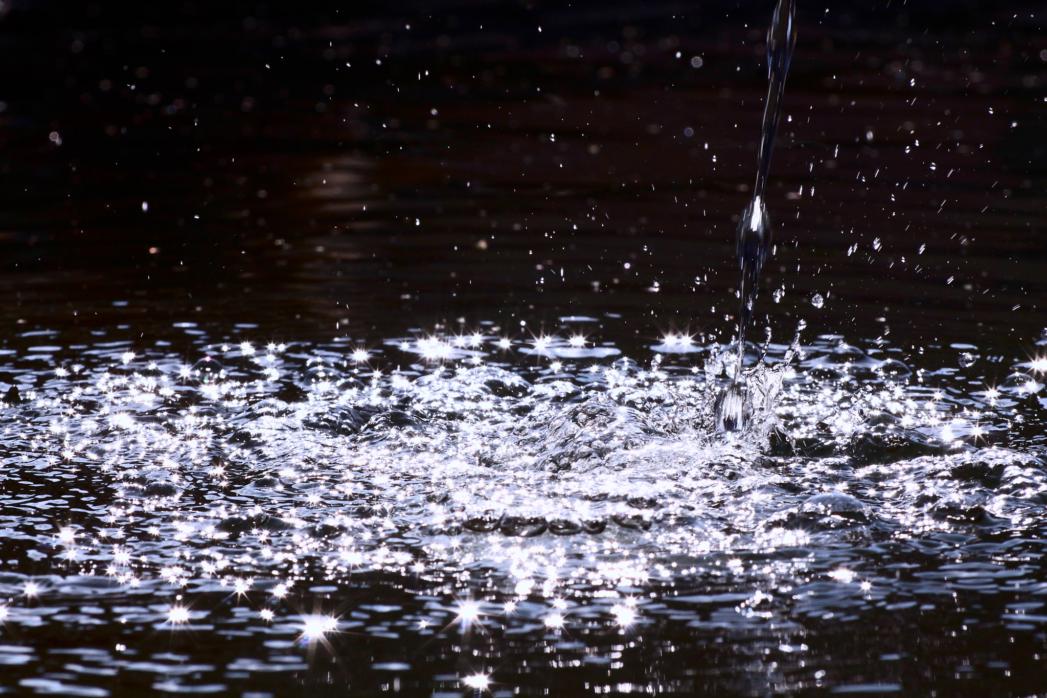 Sigma 50-200mm F4-5.6 DC OS HSM sample photo. Droplets photography