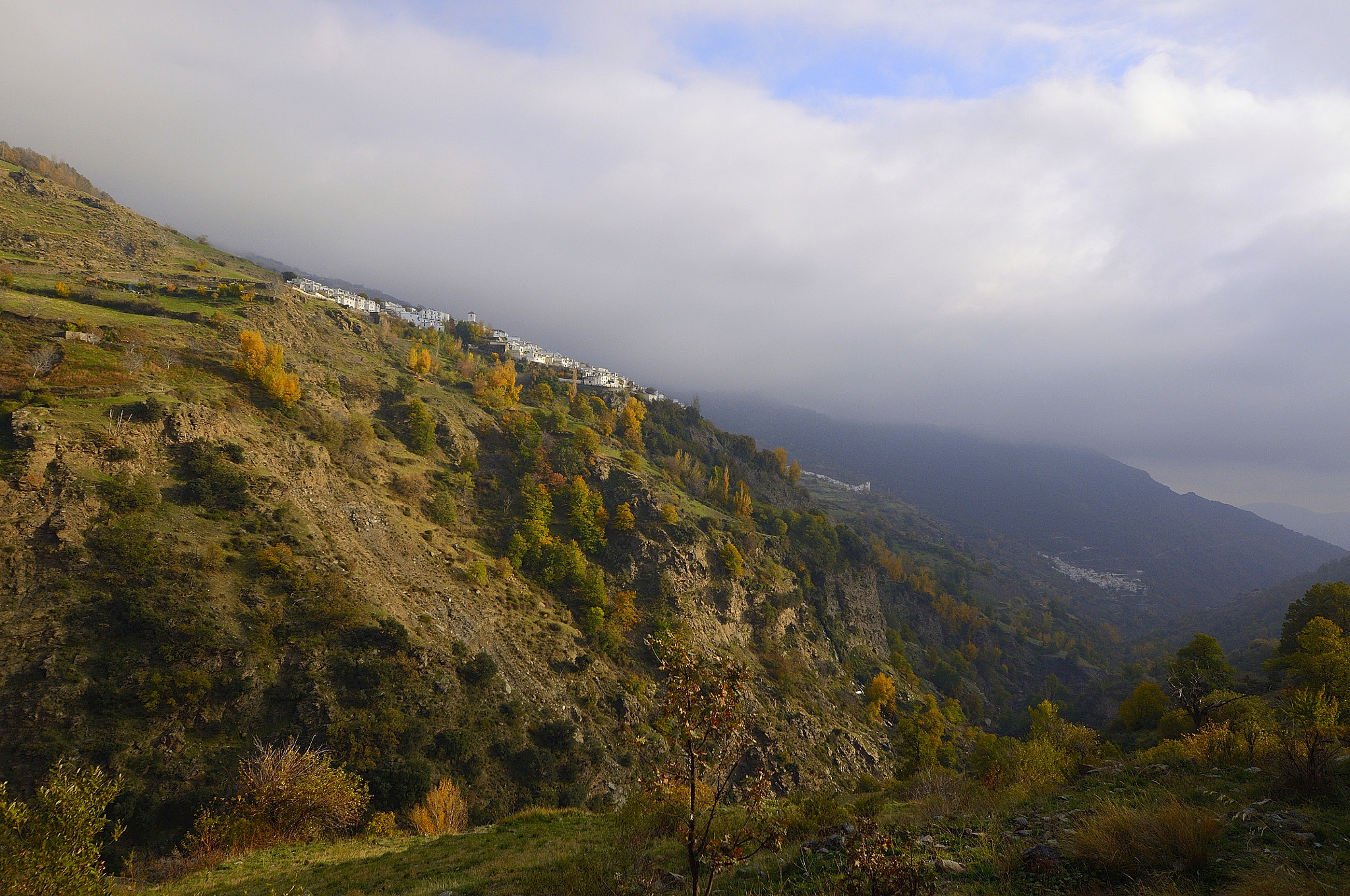 Sigma 8-16mm F4.5-5.6 DC HSM sample photo. Nidos de golondrina. photography