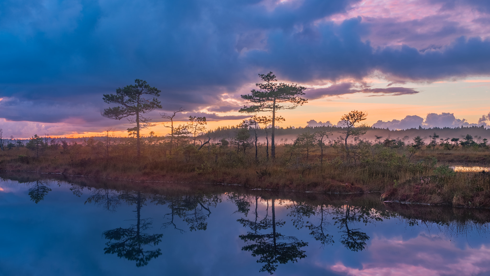 Nikon D300 + Nikon AF Nikkor 28mm F2.8D sample photo. Sunset in the mire photography