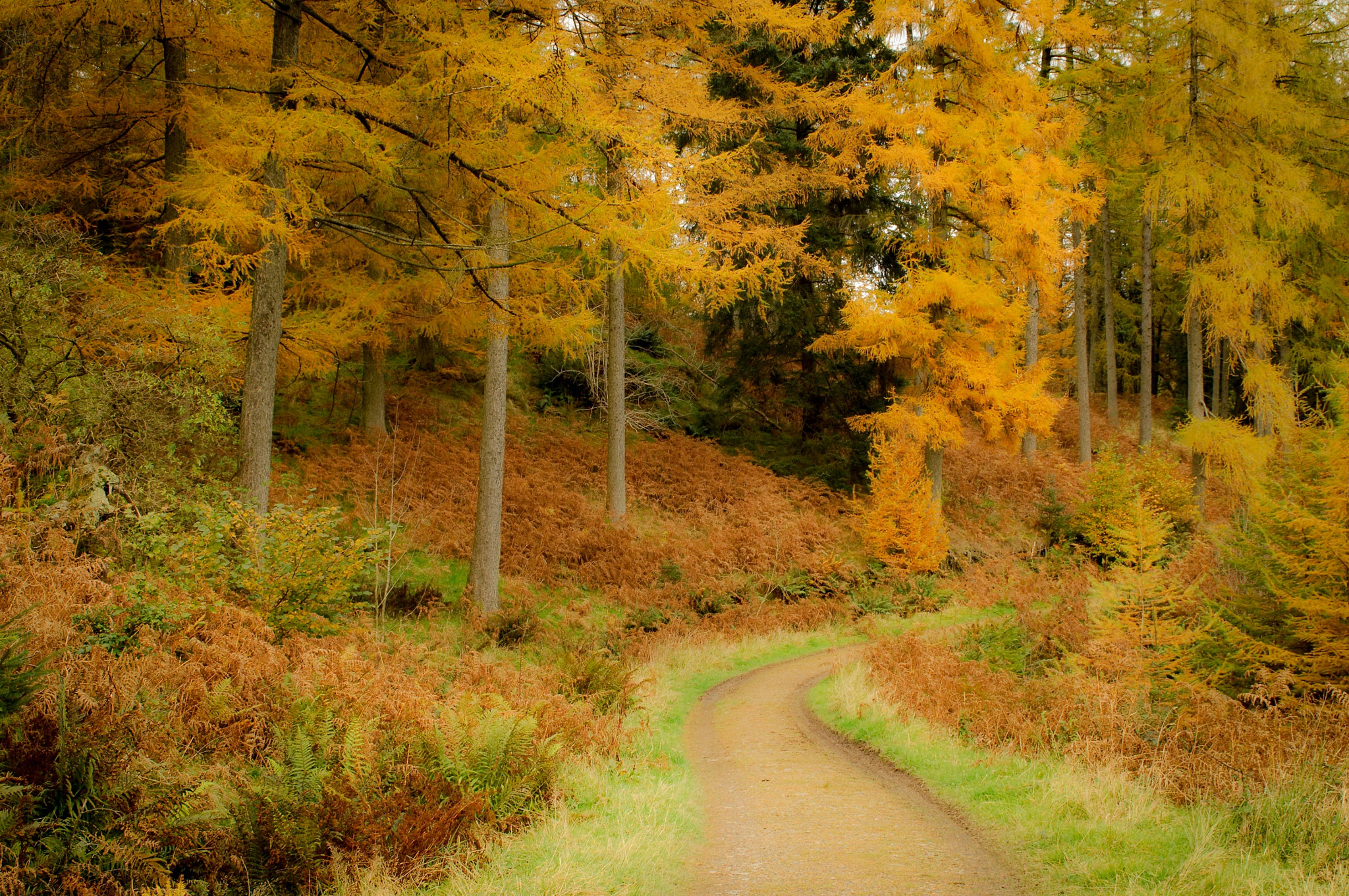 Nikon D2Xs + Sigma 24-70mm F2.8 EX DG Macro sample photo. Lake district magic photography