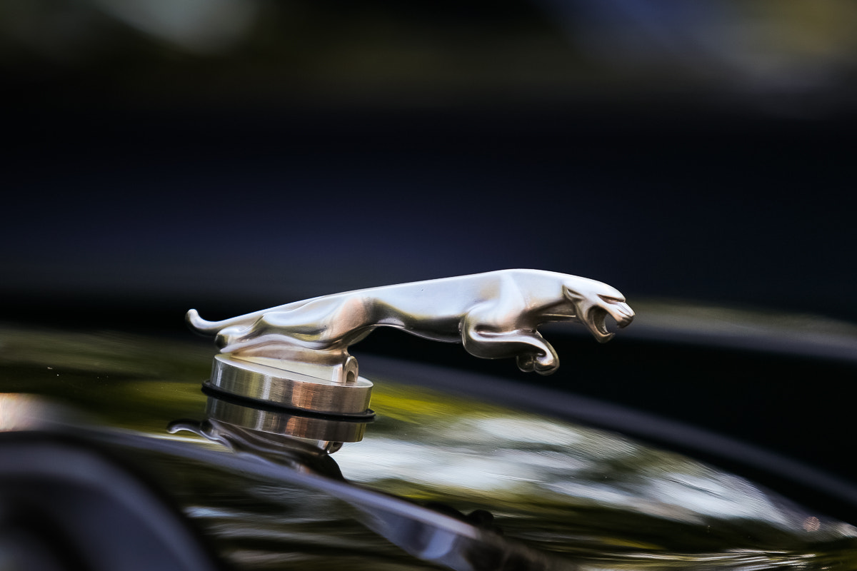 Canon EF 70-200mm F2.8L USM sample photo. Jaguar v12 photography