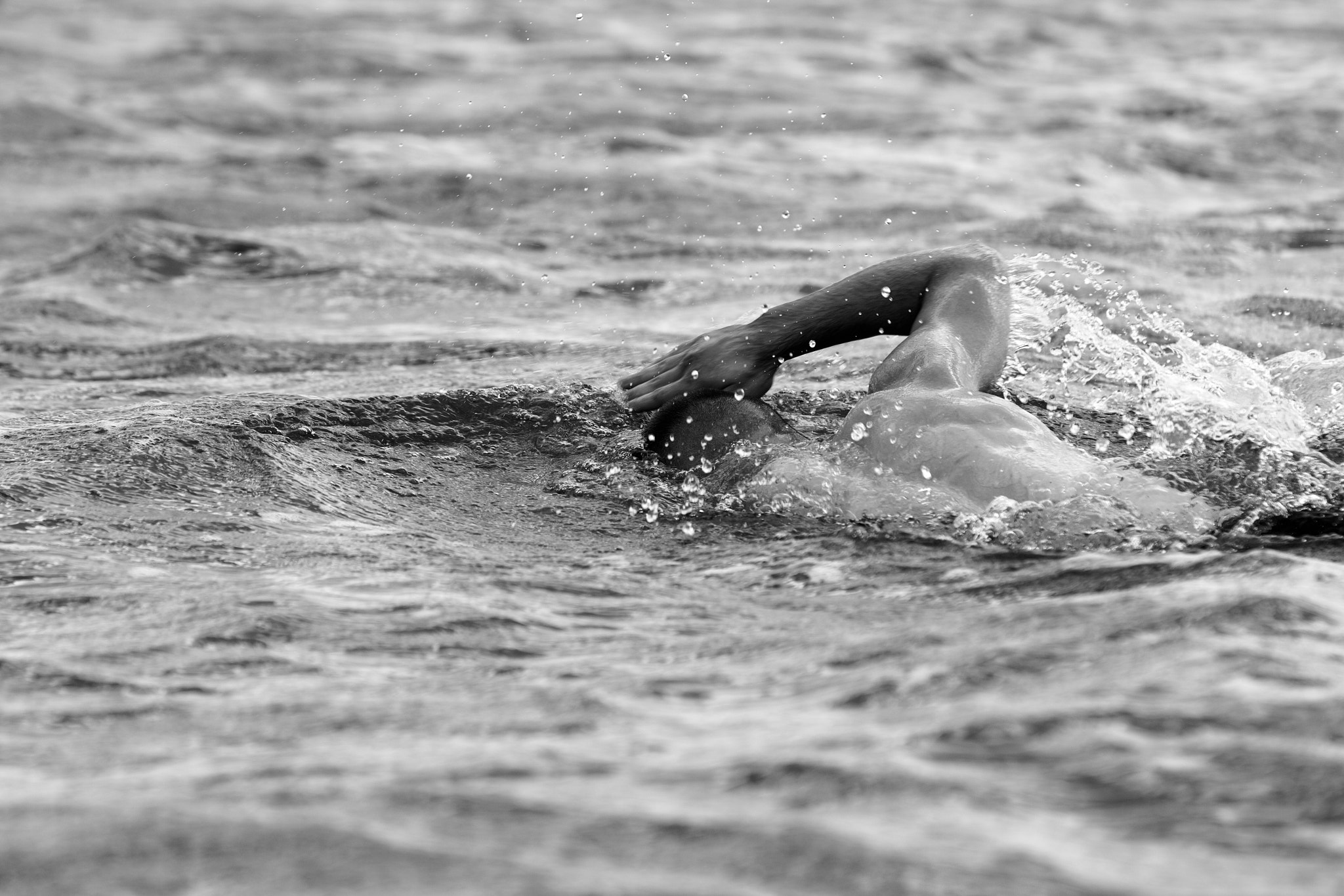 Canon EOS 550D (EOS Rebel T2i / EOS Kiss X4) sample photo. Swimming photography