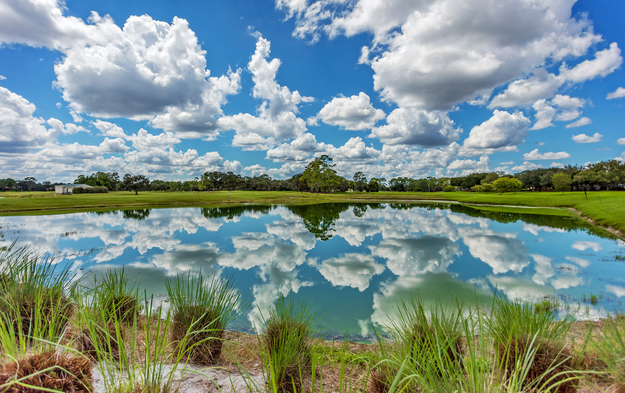 Canon EOS 5DS + Canon EF 17-40mm F4L USM sample photo. Reflection happy cloud photography
