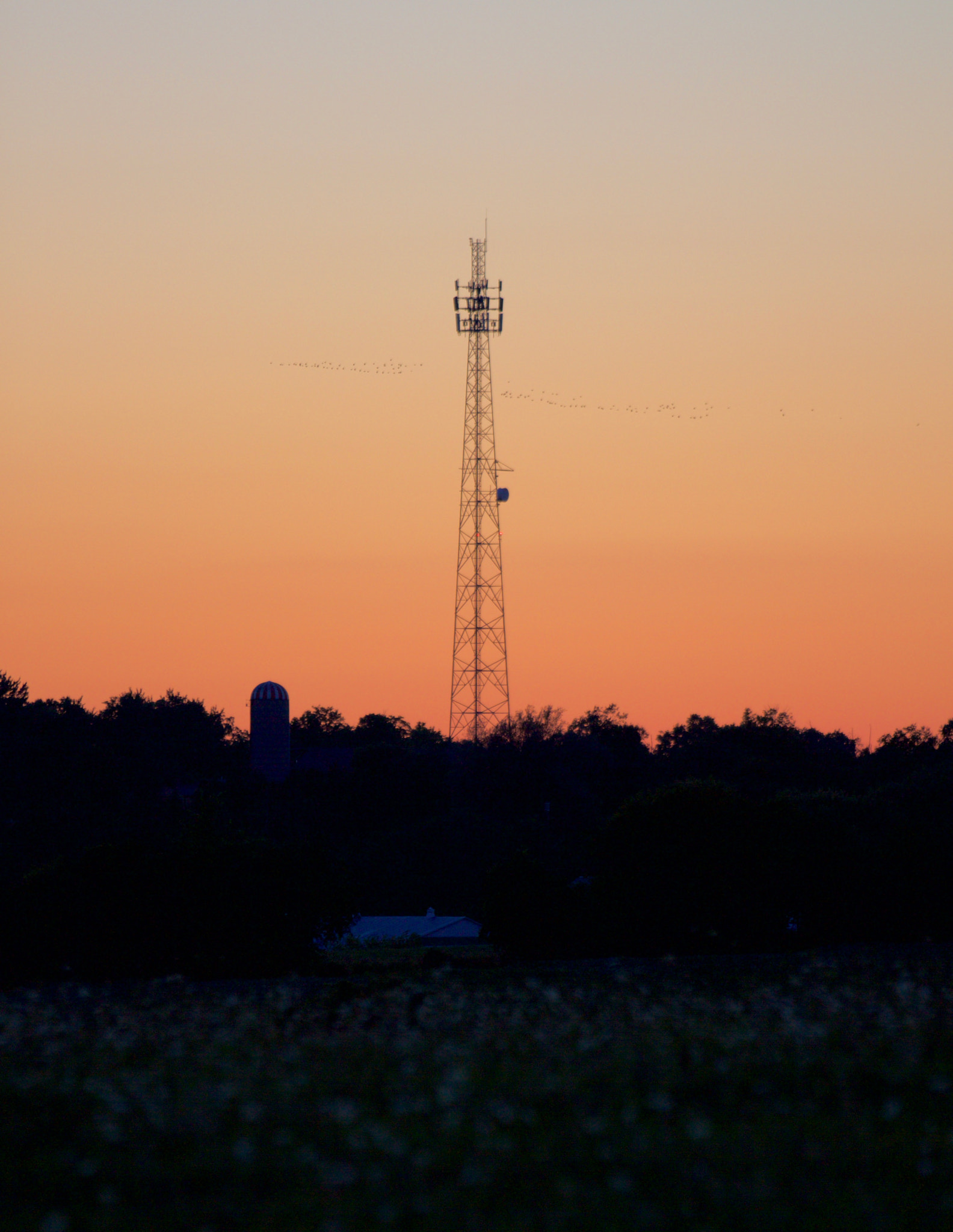 Canon EOS 550D (EOS Rebel T2i / EOS Kiss X4) sample photo. Radio tower photography