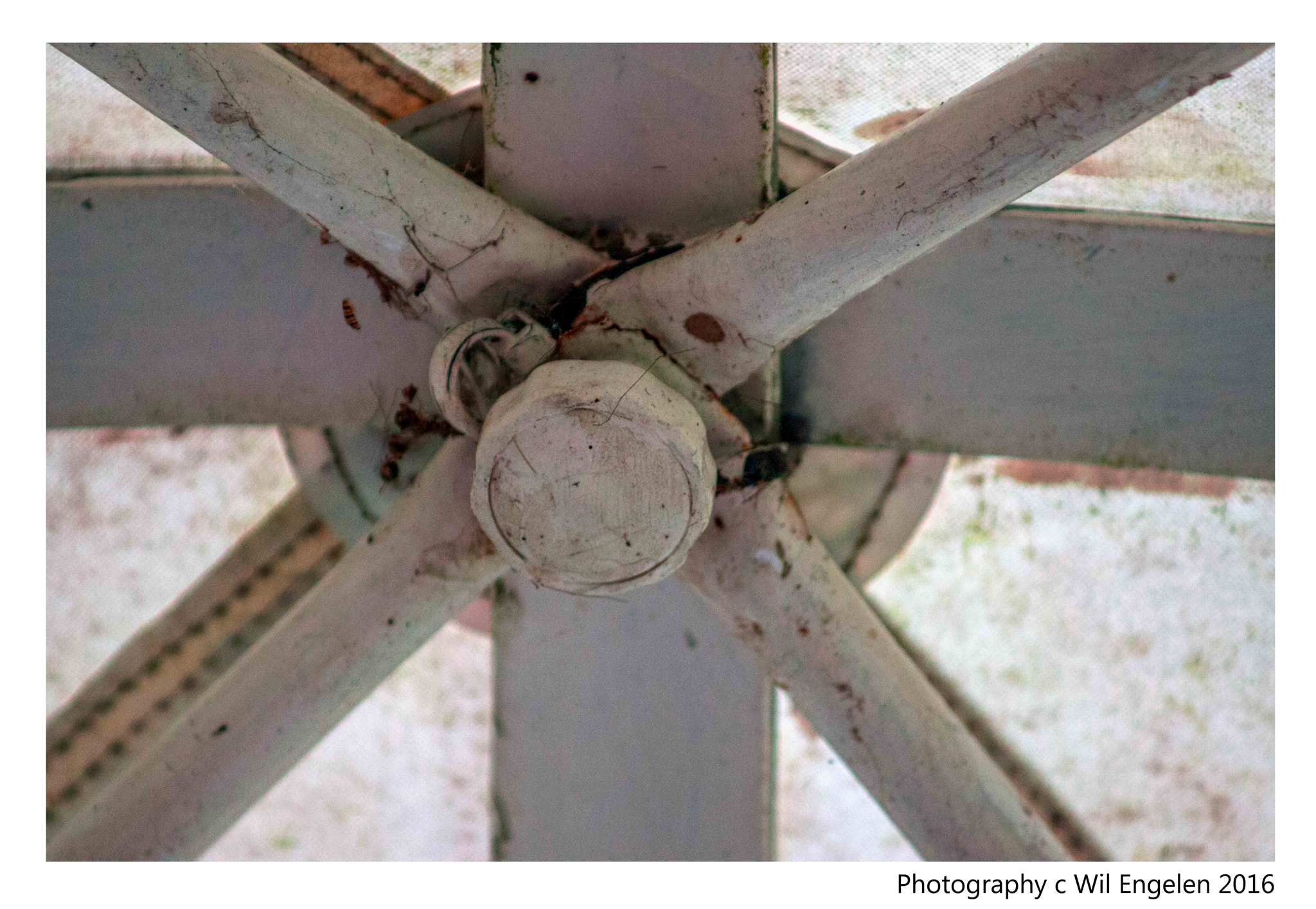Canon EF 80-200mm F4.5-5.6 II sample photo. Iron frame photography