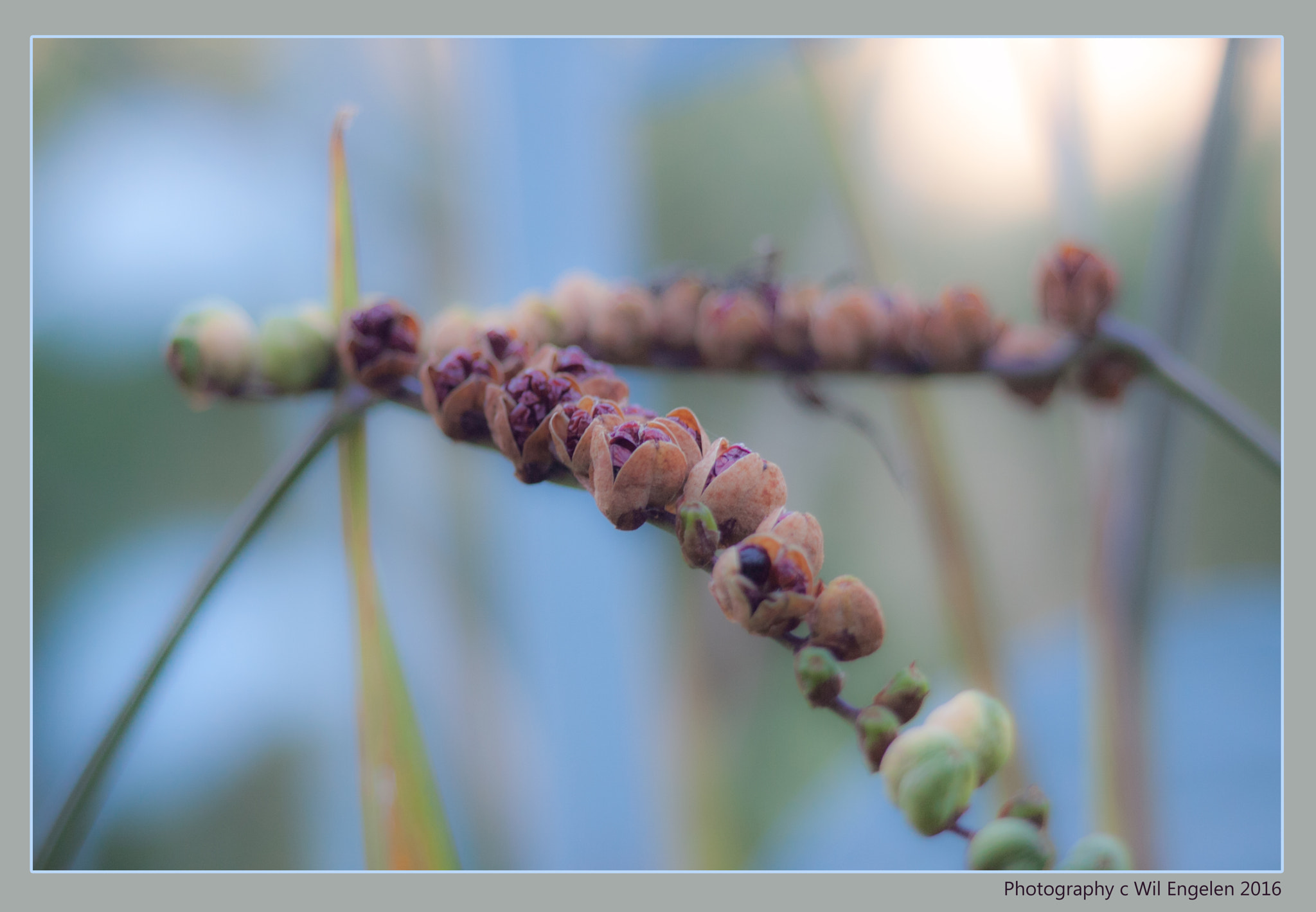 Canon EF 80-200mm F4.5-5.6 II sample photo. Silence photography