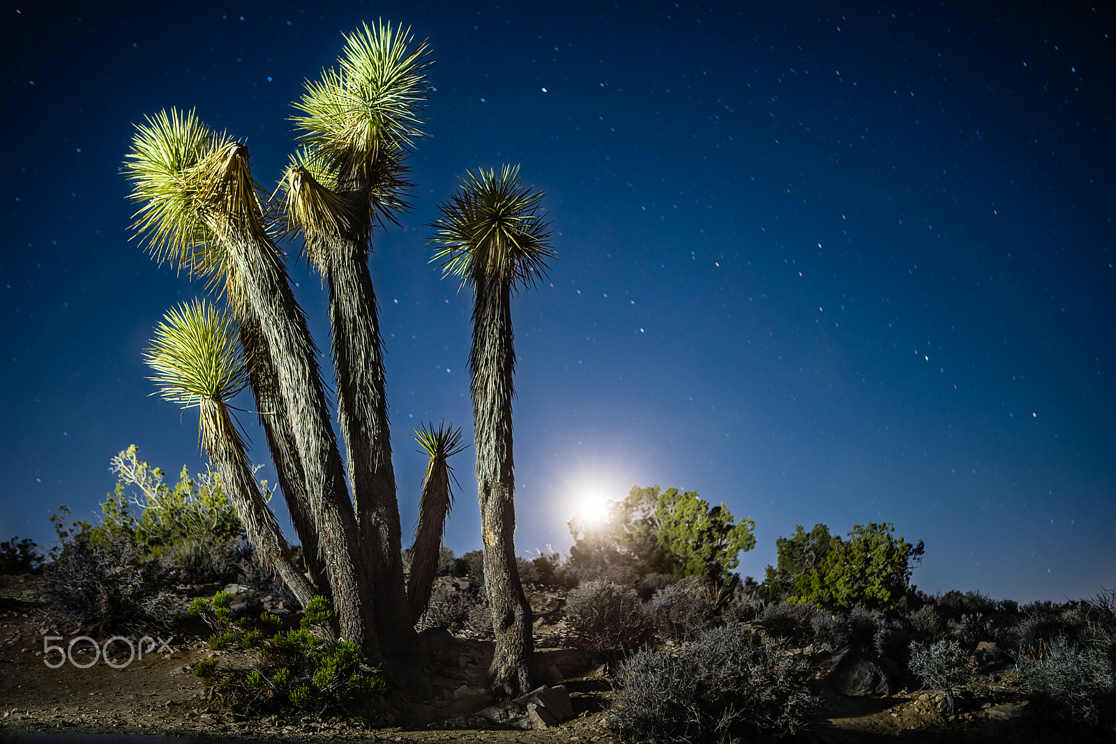 Sony a7R II + Canon EF 24-70mm F2.8L USM sample photo. Moon setting over keys view photography