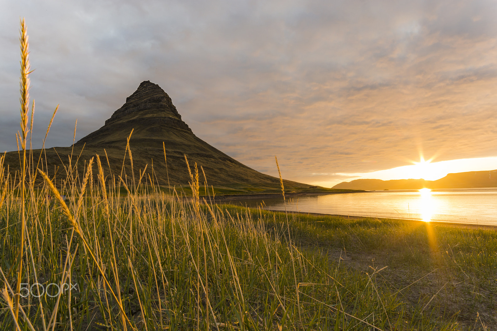 Samyang 14mm F2.8 ED AS IF UMC sample photo. Kirkjufell and ears photography