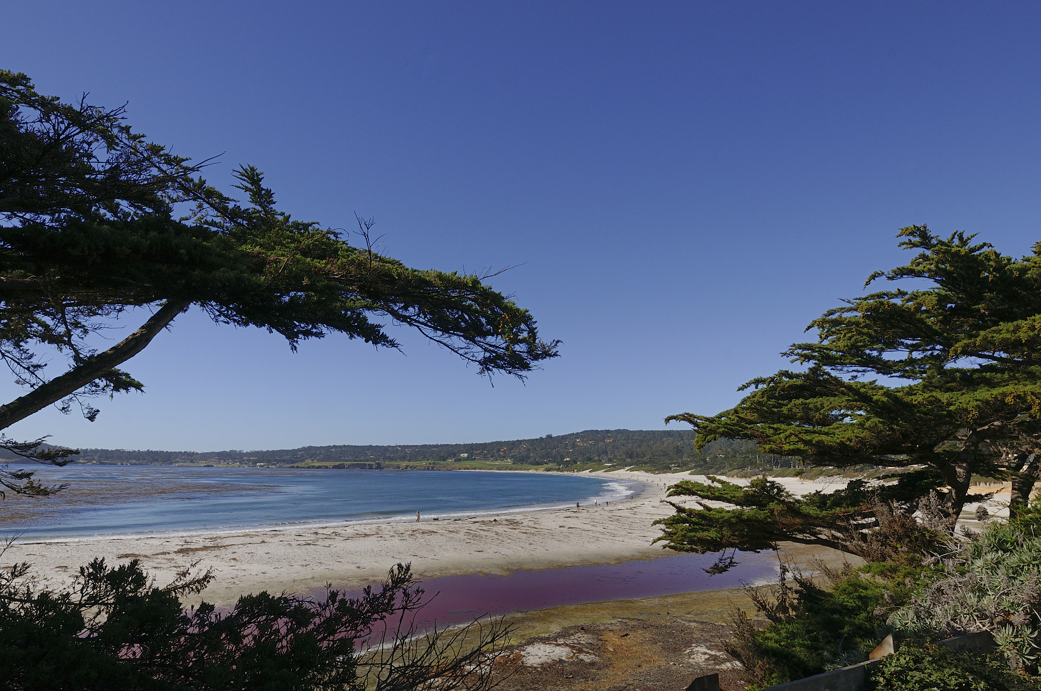 Nikon D300 sample photo. California - pacific coast - carmel beach photography