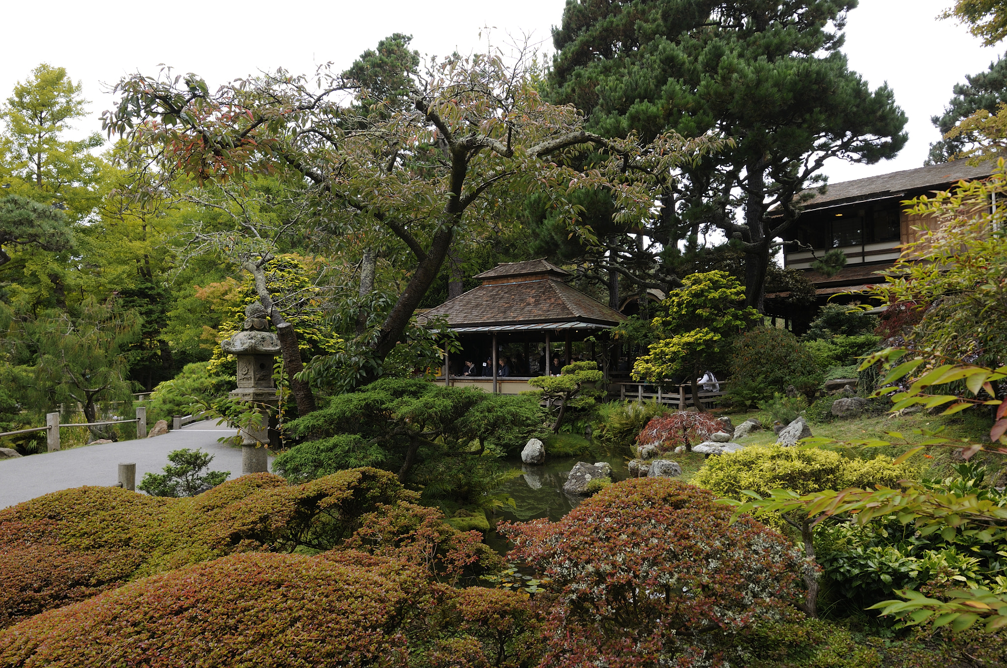 Nikon D300 sample photo. San francisco - japanese tea garden photography