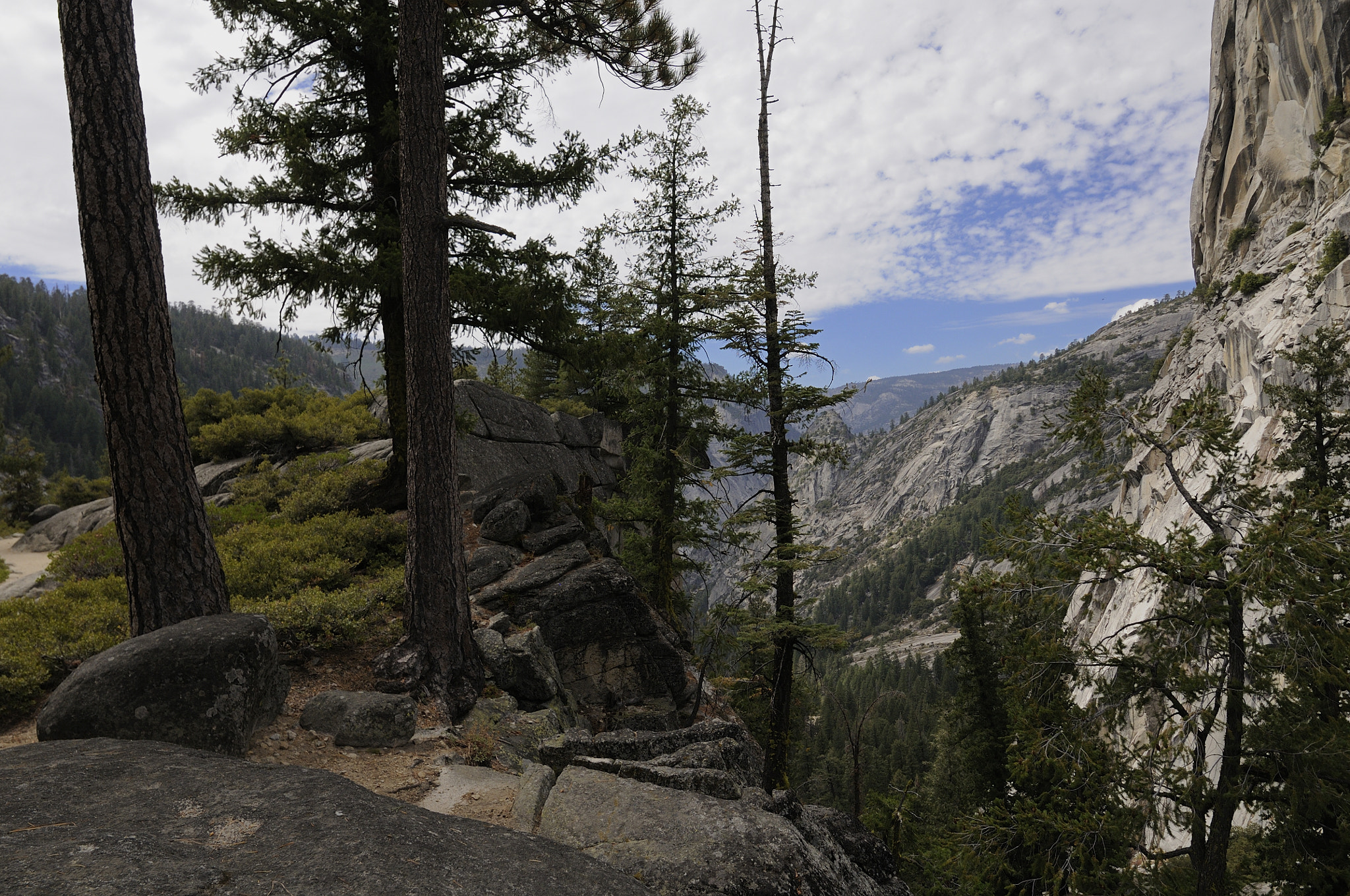 Nikon AF-S Nikkor 14-24mm F2.8G ED sample photo. Yosemite - 03 photography
