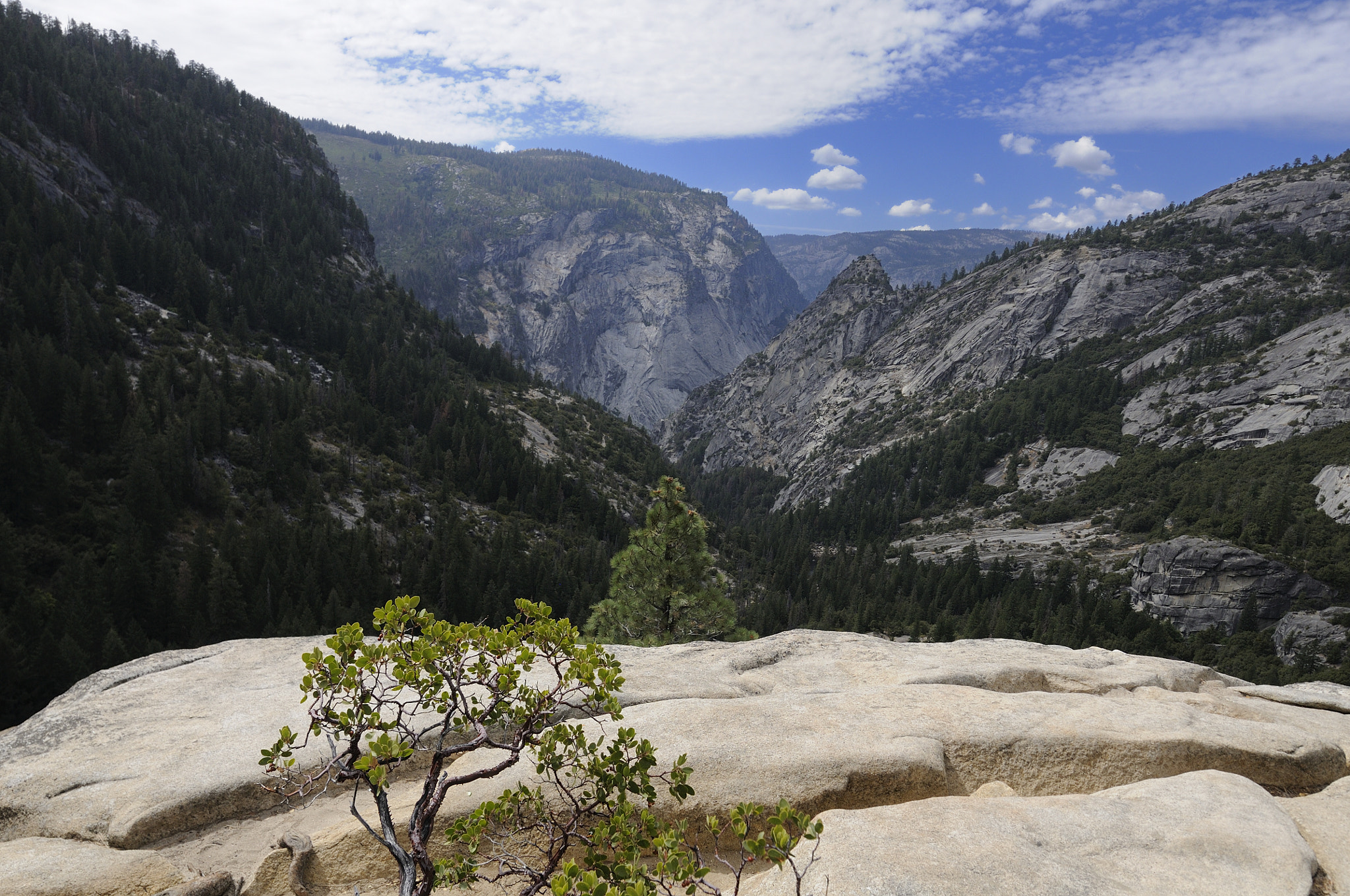 Nikon D300 sample photo. Yosemite - 04 photography