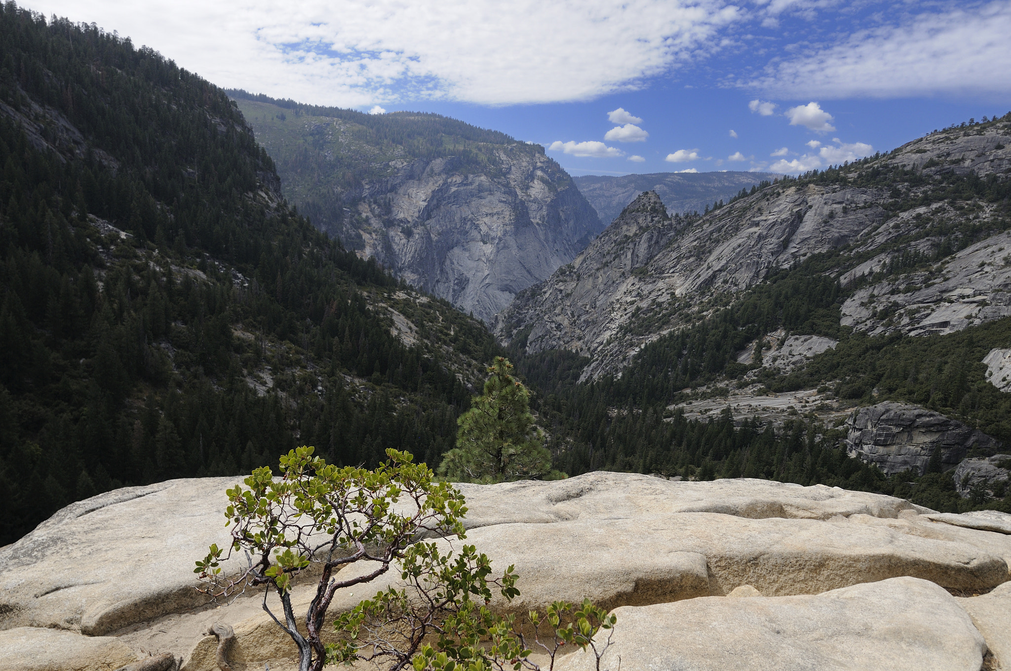 Nikon AF-S Nikkor 14-24mm F2.8G ED sample photo. Yosemite - 04 photography