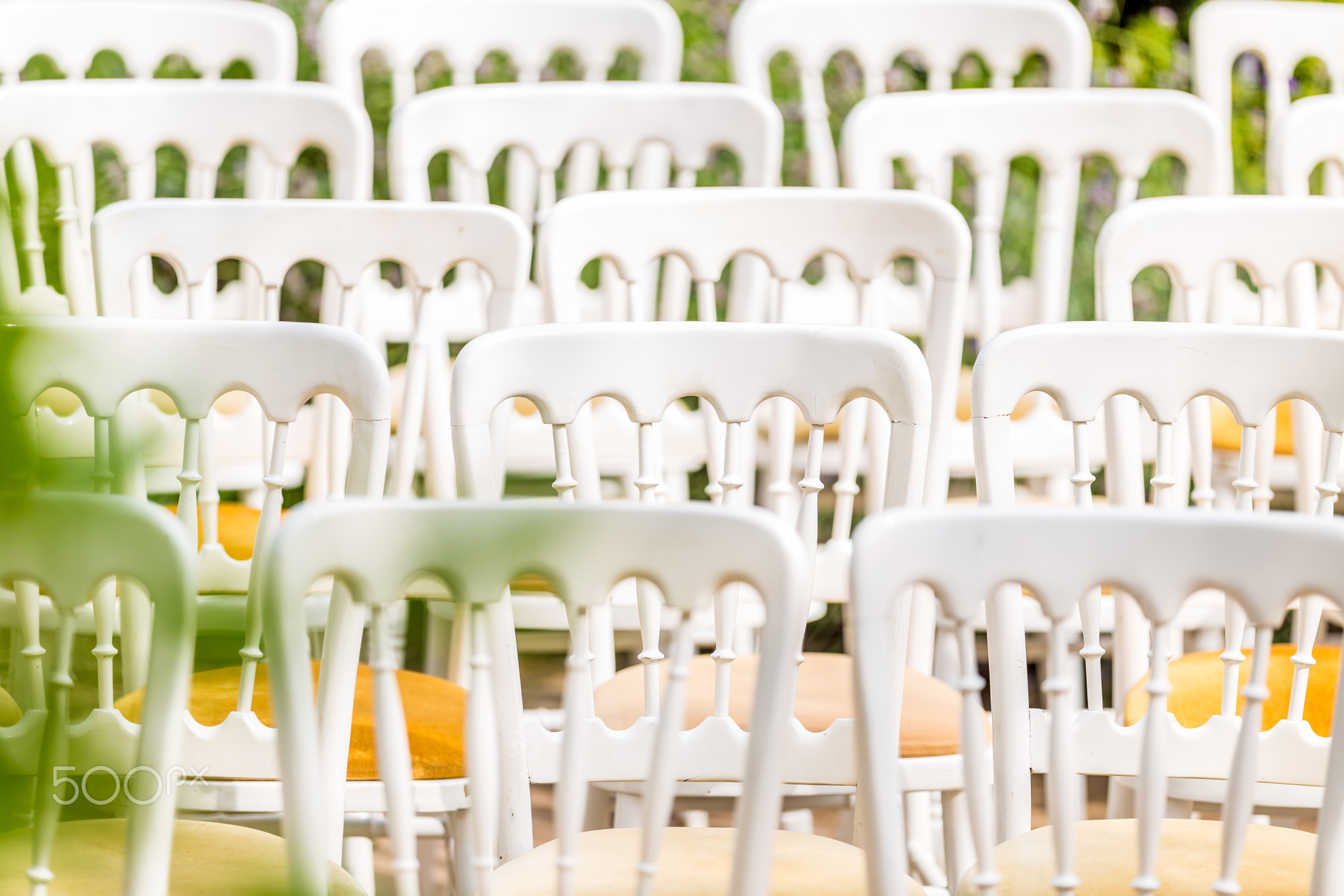 Elaine & Mike Goold's Wedding