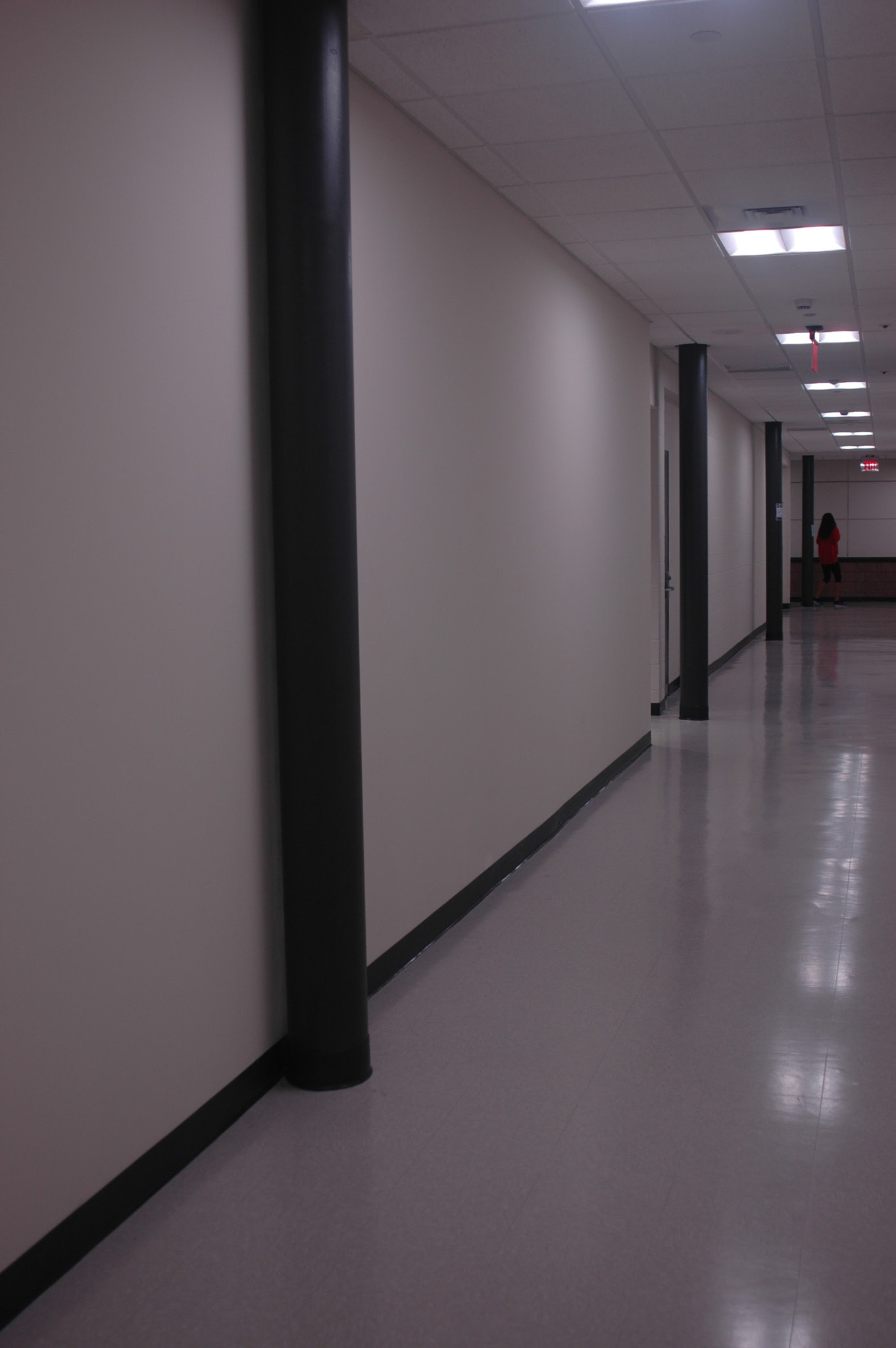 Nikon D70s + AF Zoom-Nikkor 24-120mm f/3.5-5.6D IF sample photo. Lighted hallway with pillars photography