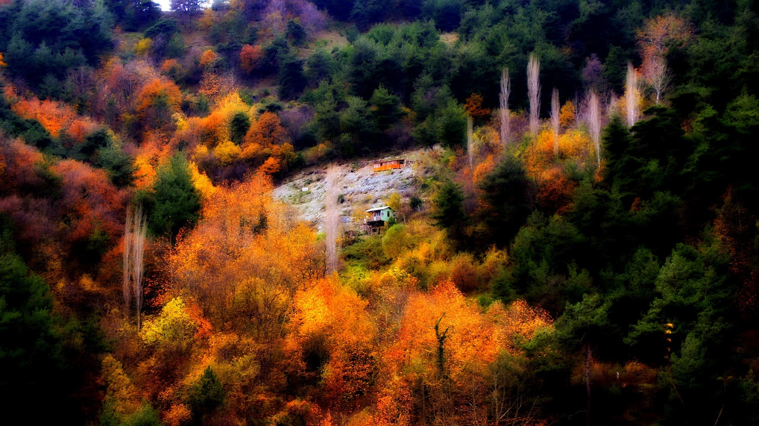 Sony DT 55-200mm F4-5.6 SAM sample photo. Colors of valley photography