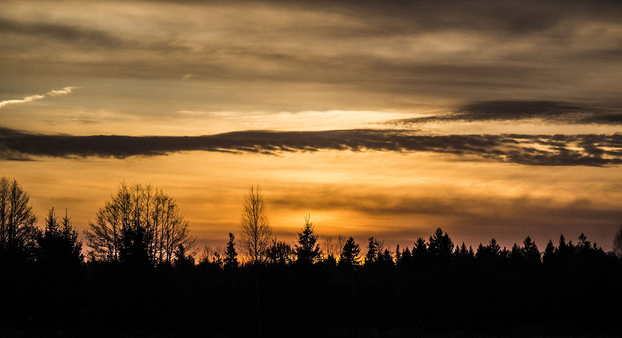 Canon EF-S 55-250mm F4-5.6 IS sample photo. Go and rise... photography
