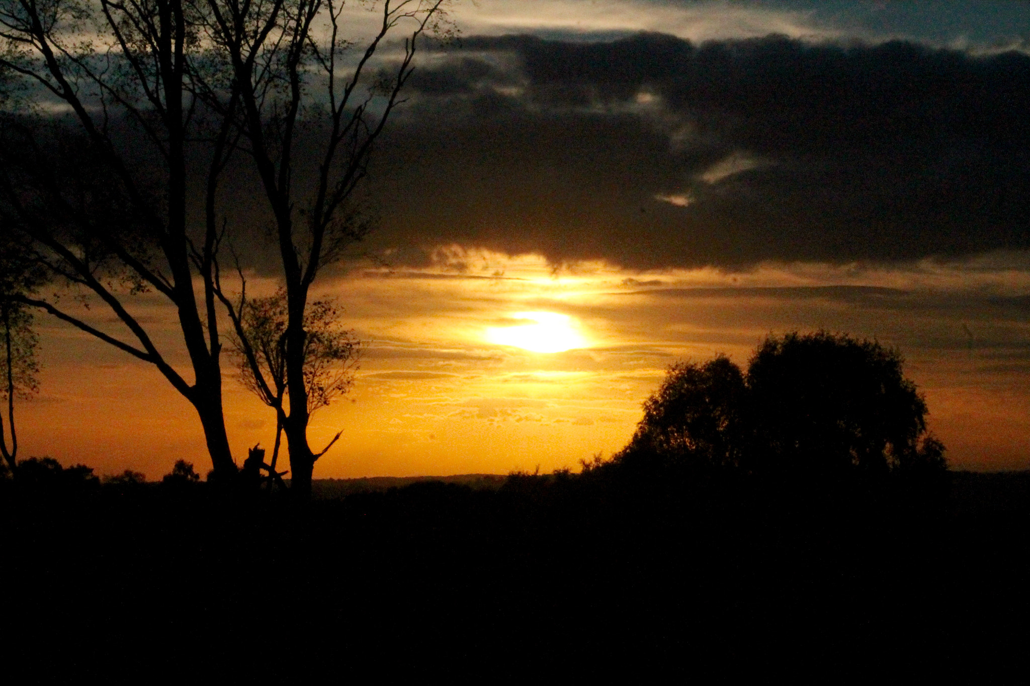 Canon EF75-300mm f/4-5.6 sample photo. Golden sunset from the edge of the forrest photography