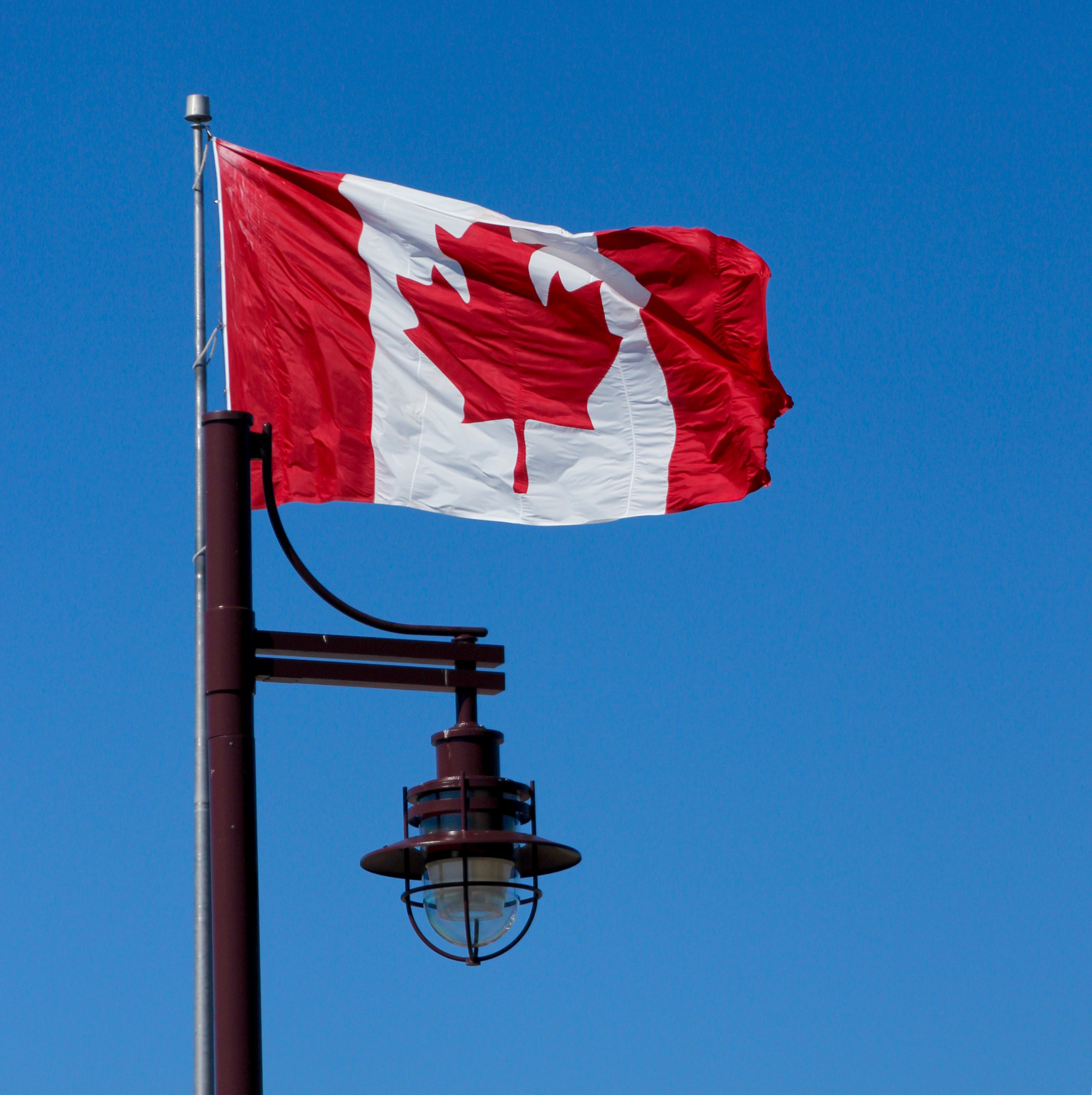 Canon EOS 550D (EOS Rebel T2i / EOS Kiss X4) + Canon 18-270mm sample photo. Canada flag and light photography