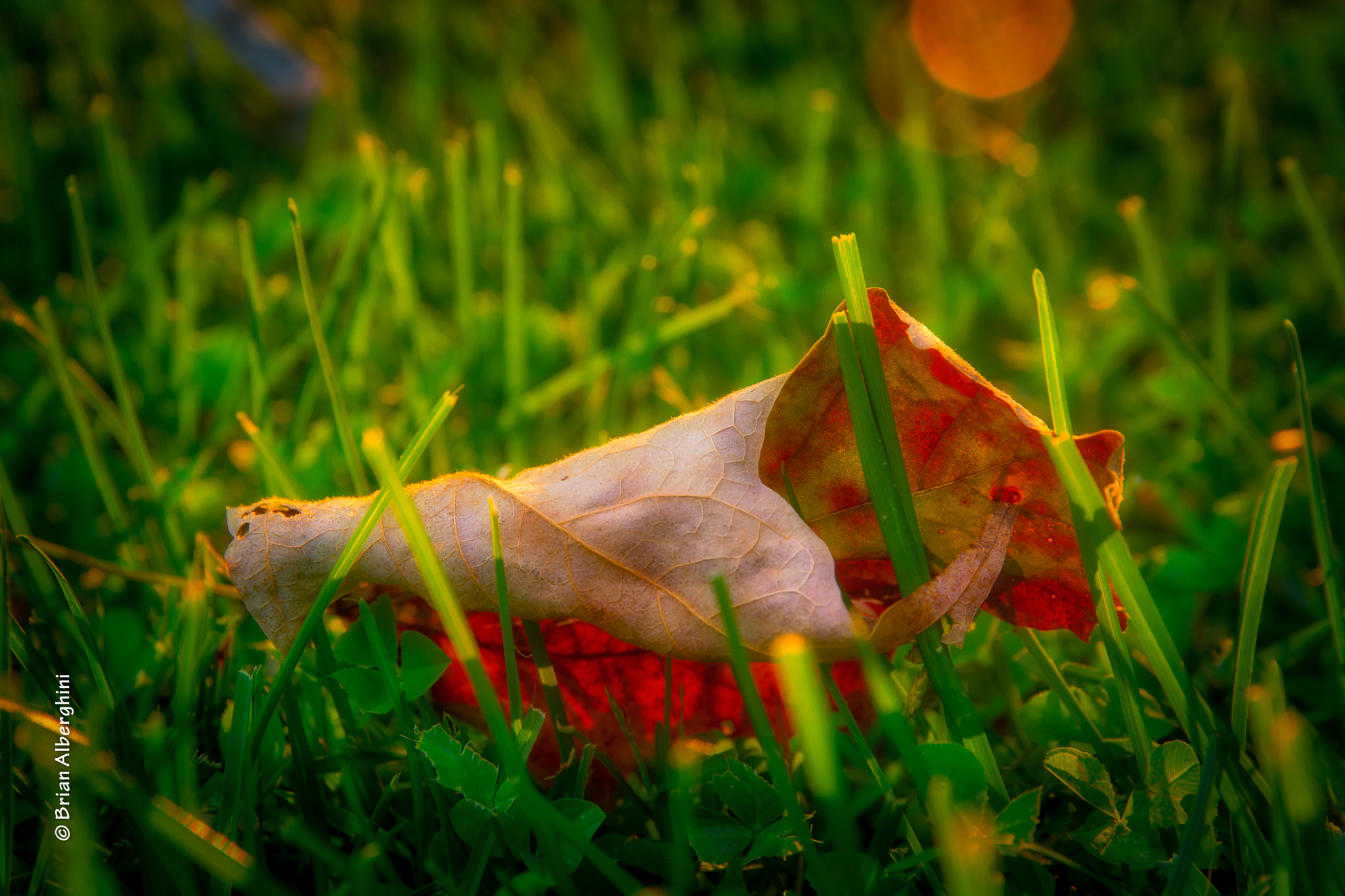 Nikon D7100 + Sigma 24-105mm F4 DG OS HSM Art sample photo. Changes photography