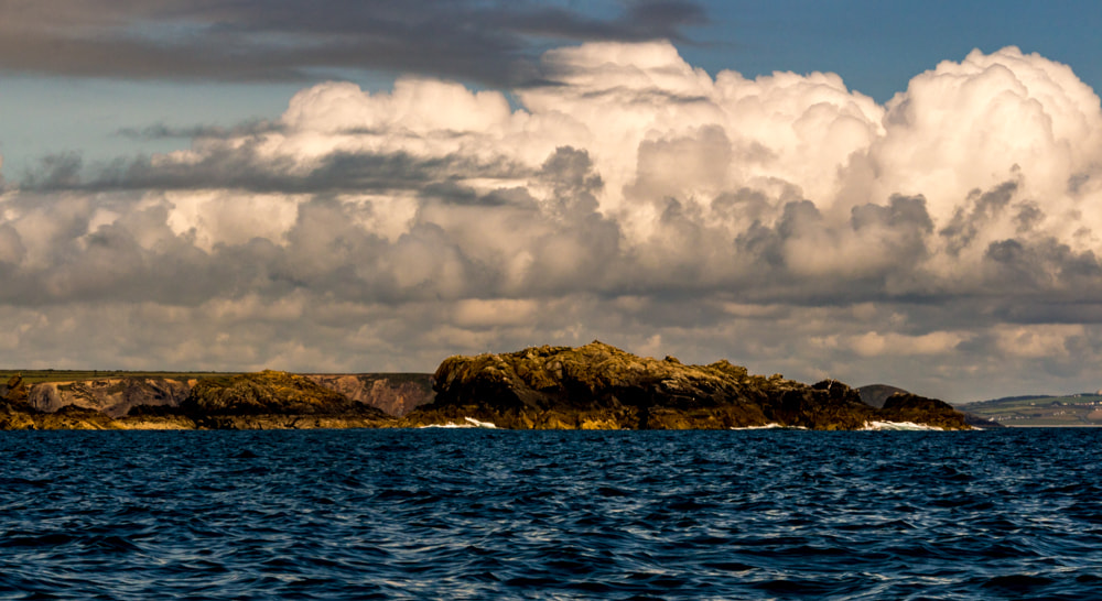 Sigma 18-250mm F3.5-6.3 DC OS HSM sample photo. Bird island photography