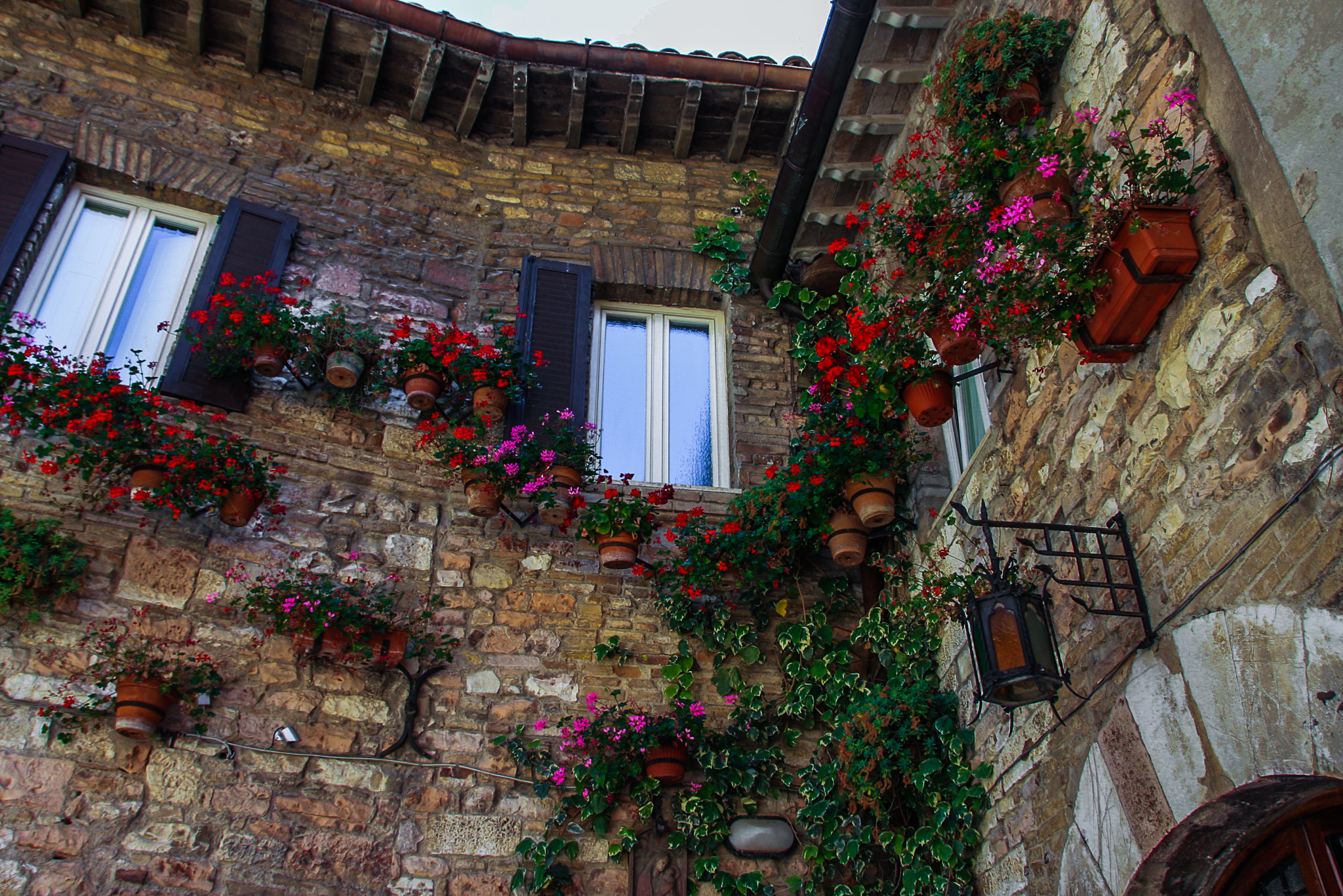 Sigma 18-250mm F3.5-6.3 DC OS HSM sample photo. Assisi photography