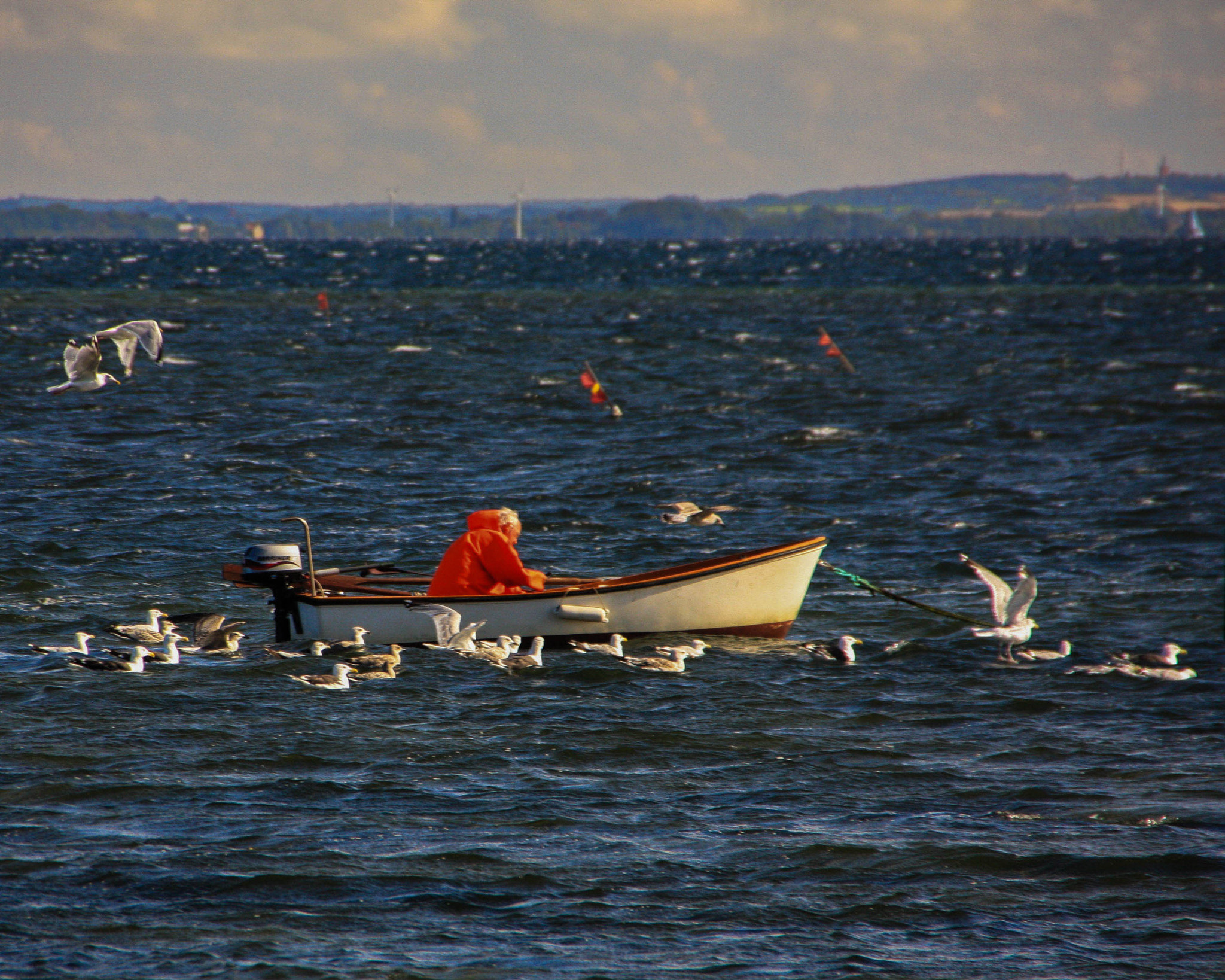 Sigma 18-250mm F3.5-6.3 DC OS HSM sample photo. Fisherman aero denmark photography