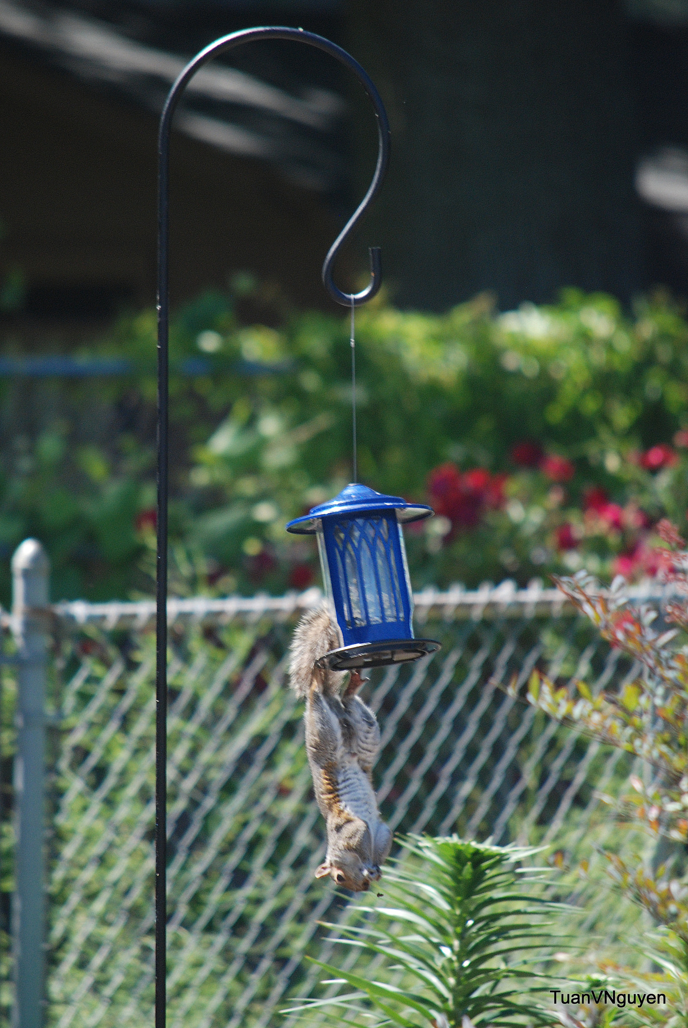 Nikon D80 sample photo. When there is a will, there is a way photography