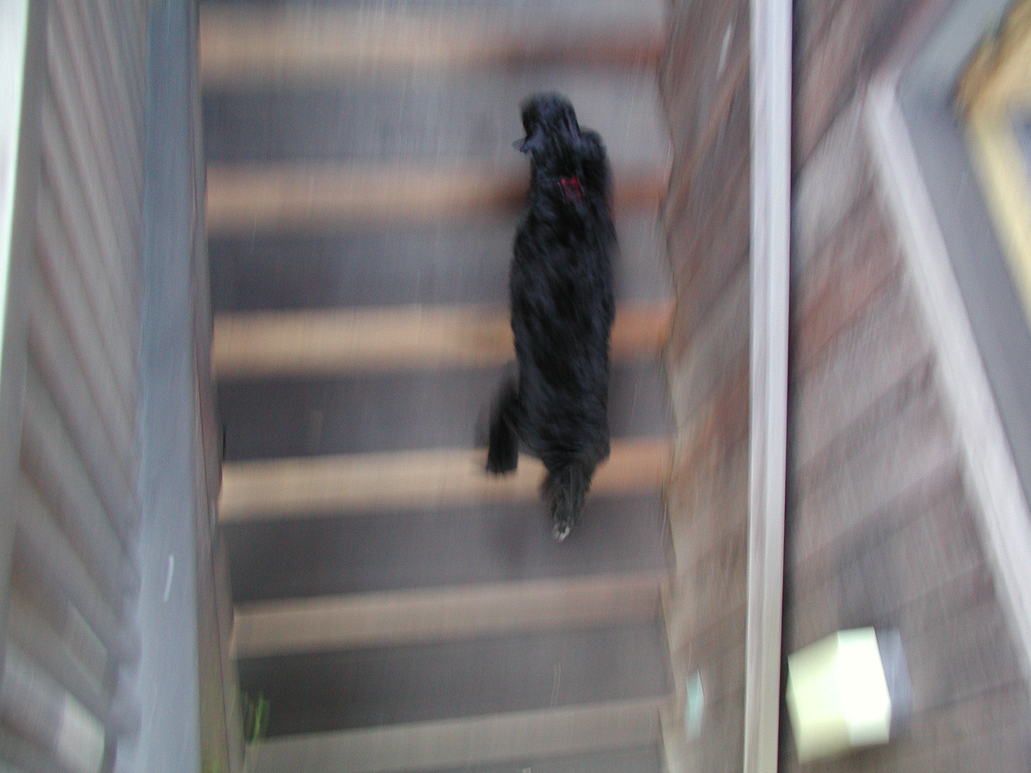 Olympus C3030Z sample photo. Stairs photography