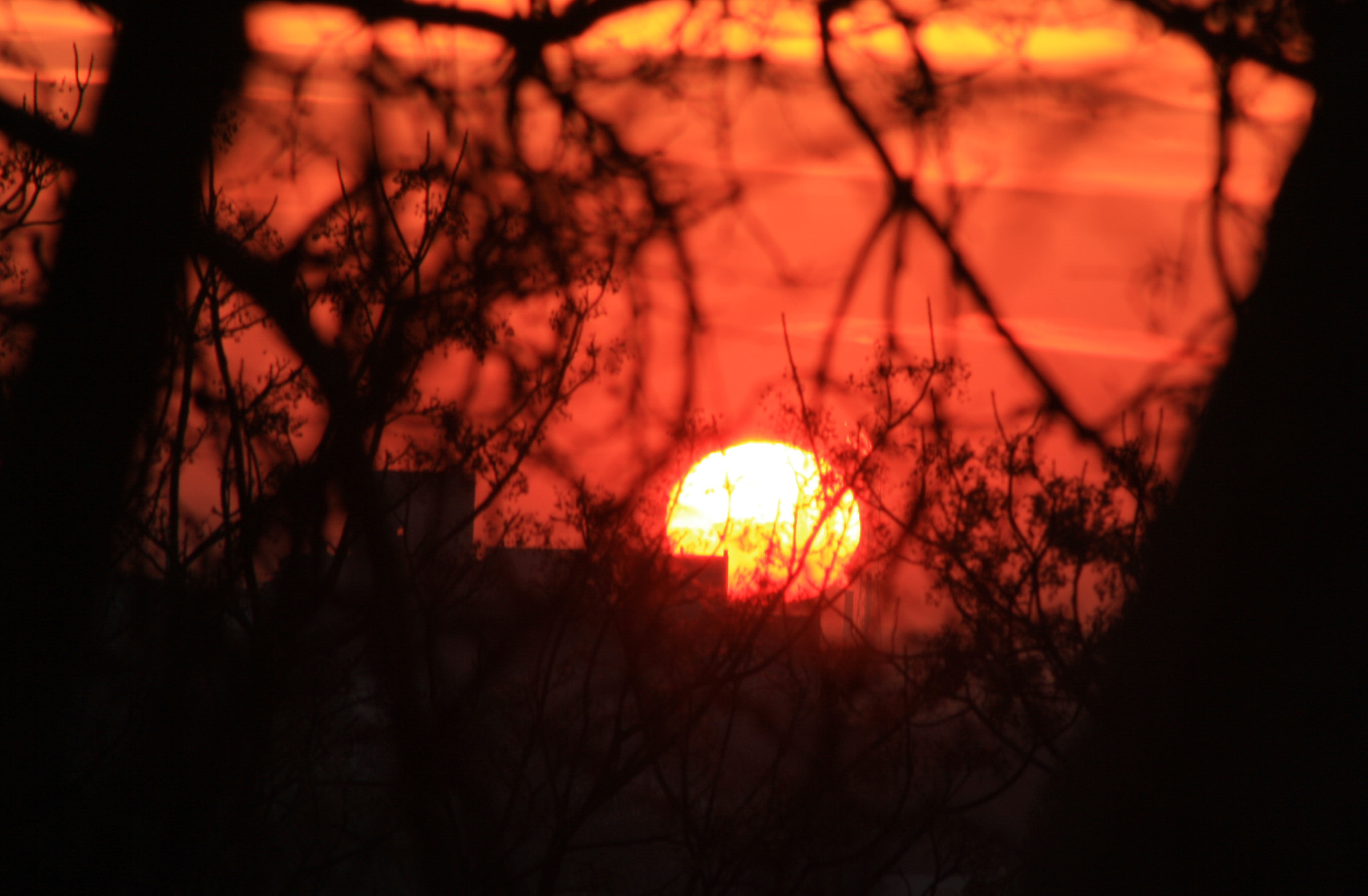Canon EF 75-300mm f/4-5.6 USM sample photo. Img photography