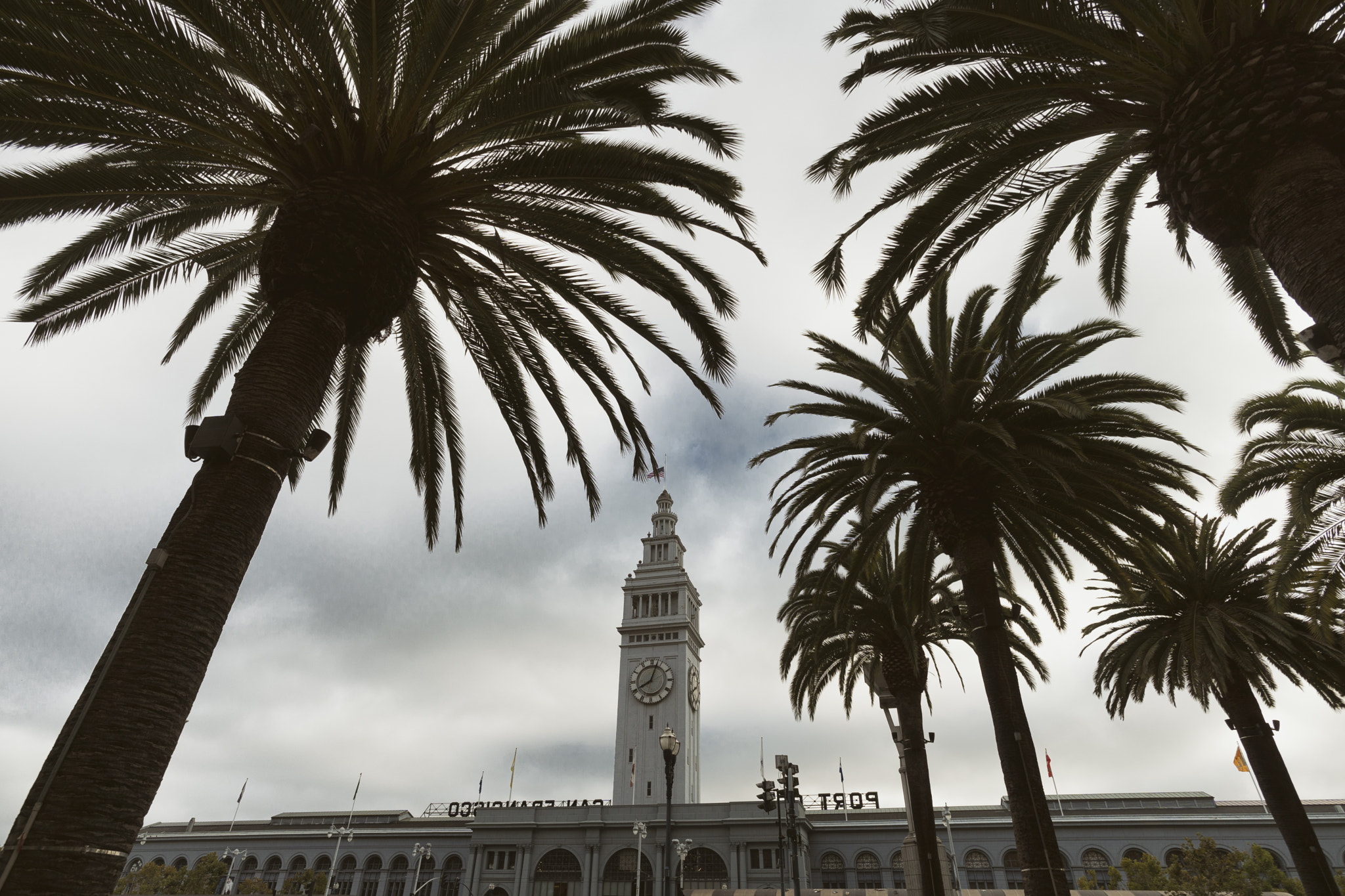 Sony a6300 + ZEISS Touit 12mm F2.8 sample photo. Ferry terminal, san francisco | california photography