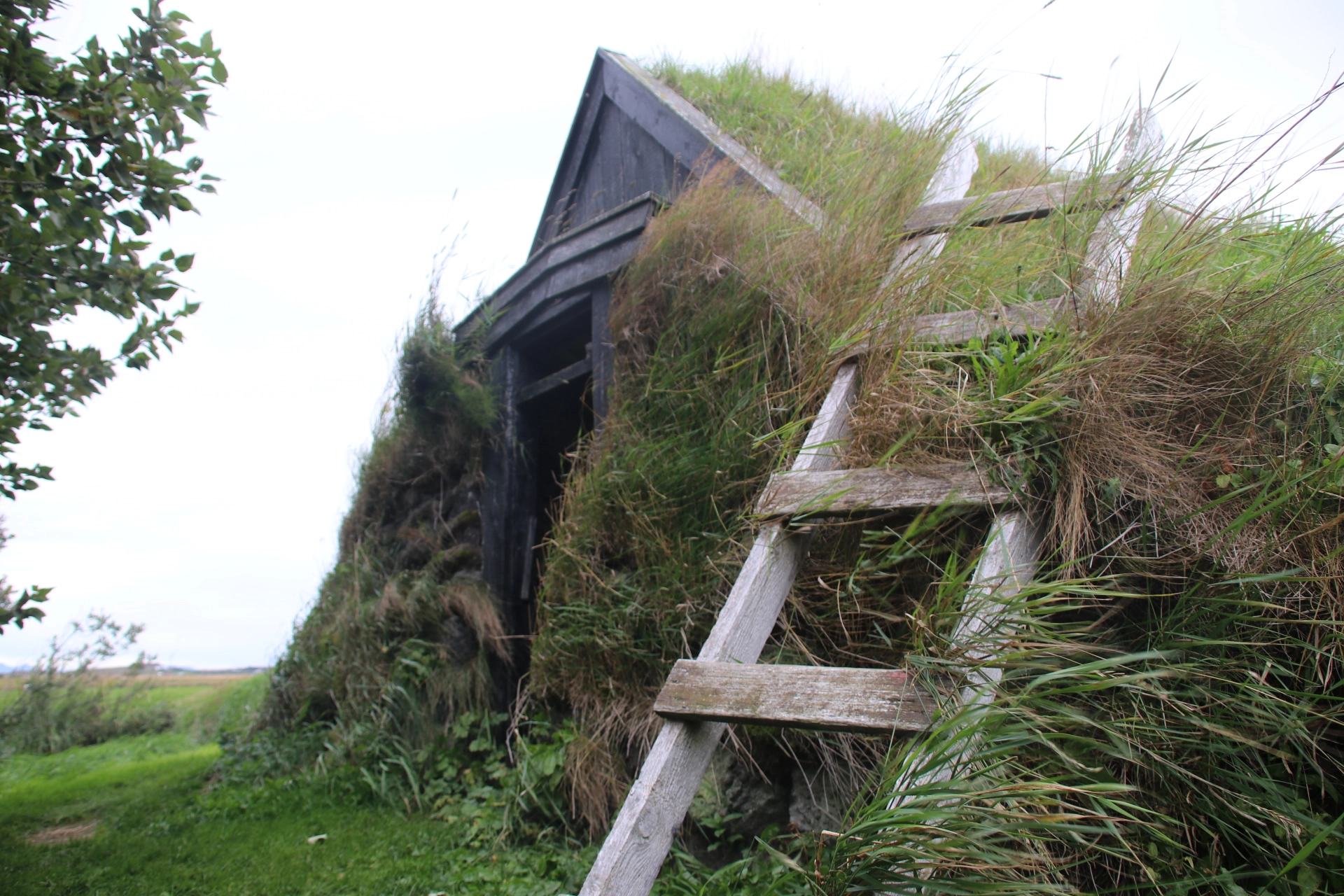 Canon EF 75-300mm F4.0-5.6 IS USM sample photo. Turf house in iceland  photography