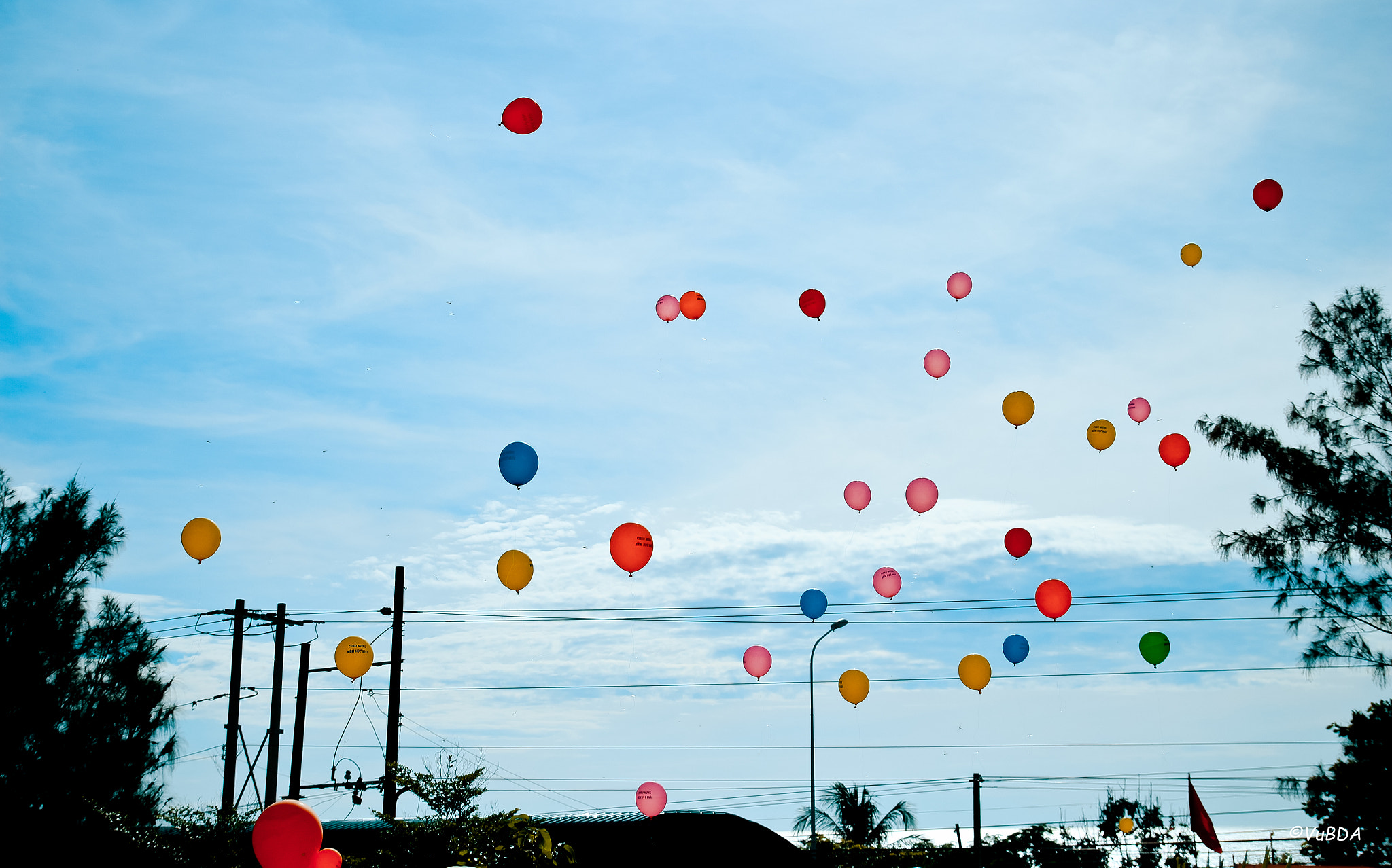 Tamron SP AF 17-50mm F2.8 XR Di II LD Aspherical (IF) sample photo. Musical balloons photography
